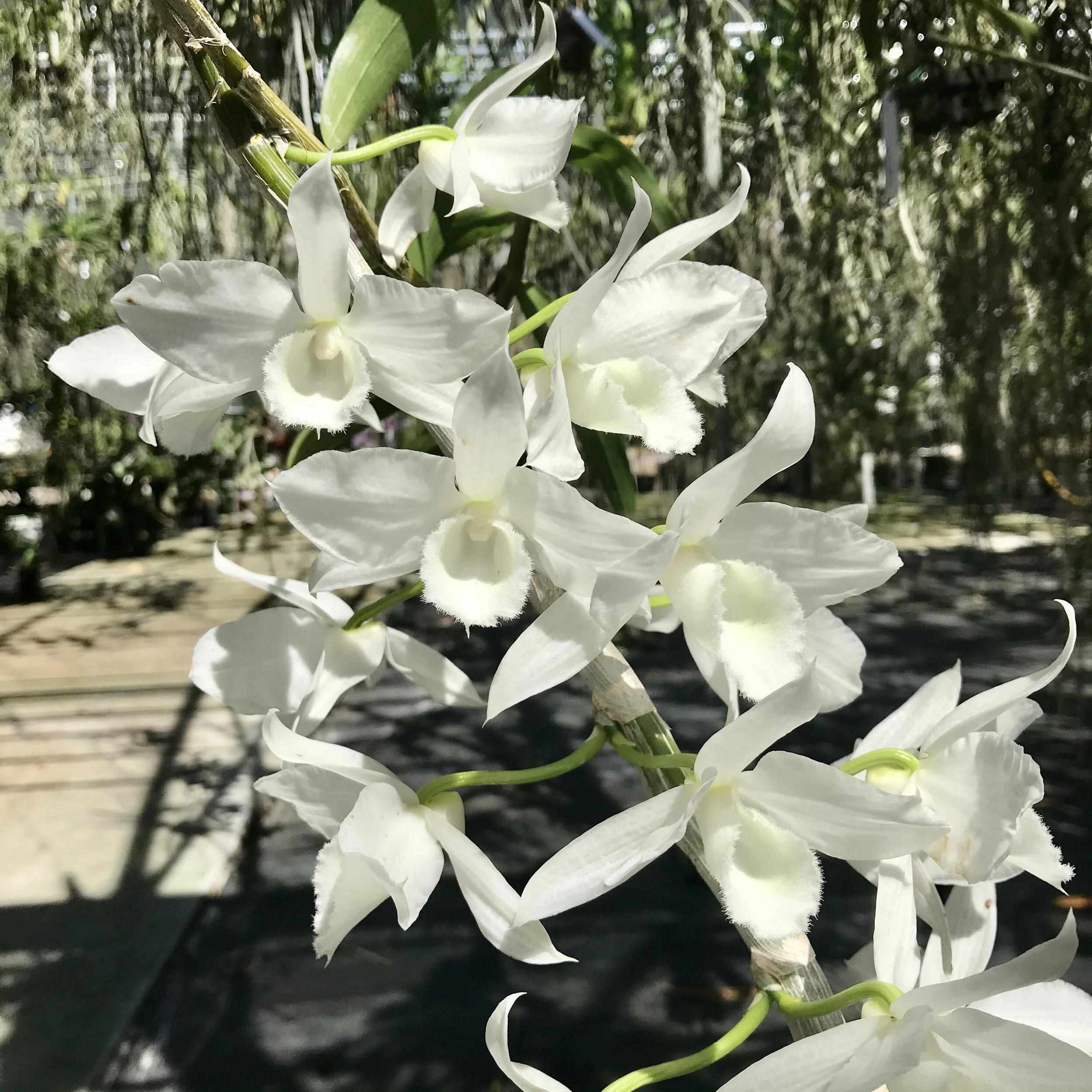 B8A2615D-0714-4153-BAE8-C744DEECEE4D