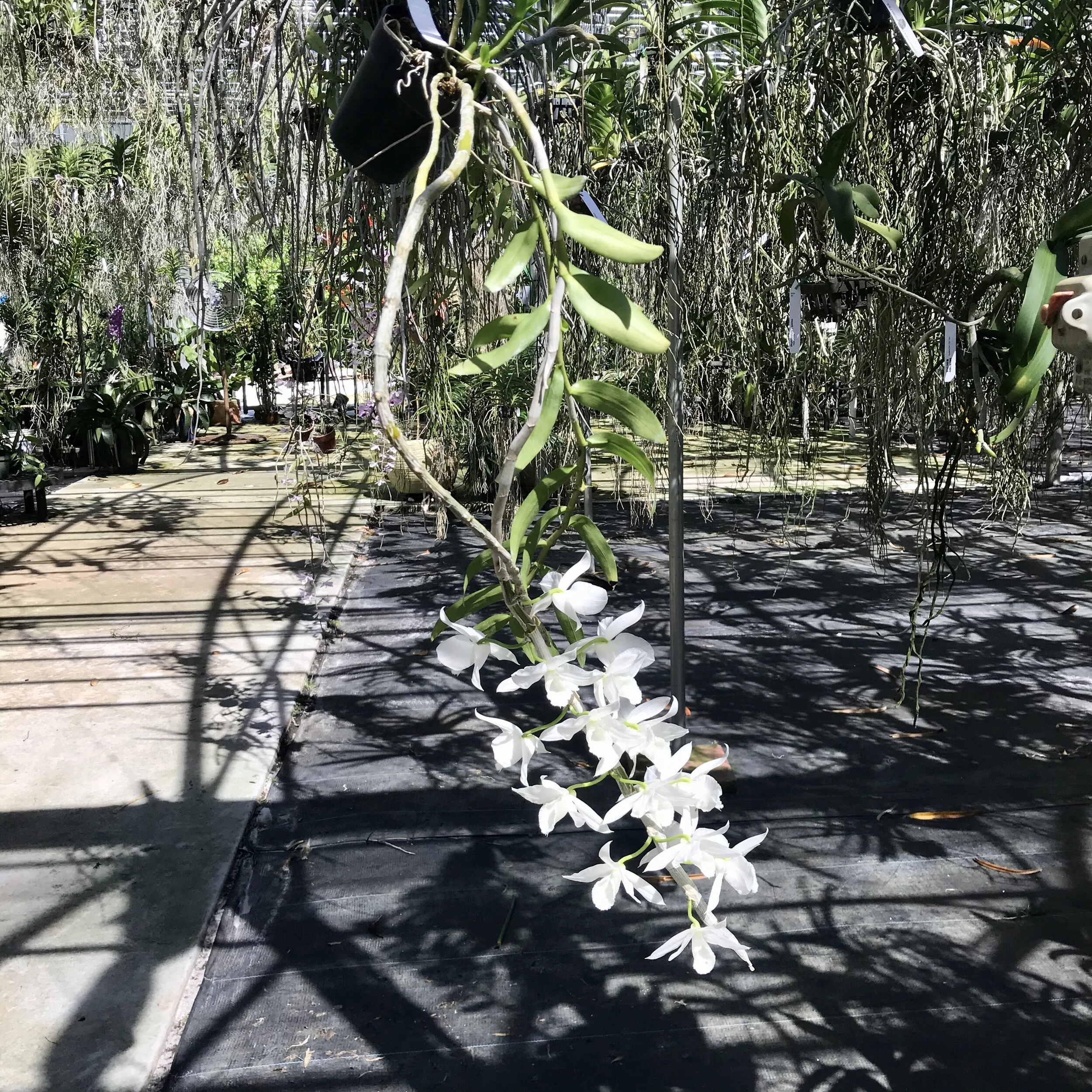 86B7F532-3467-41DF-A840-89D9396F347E