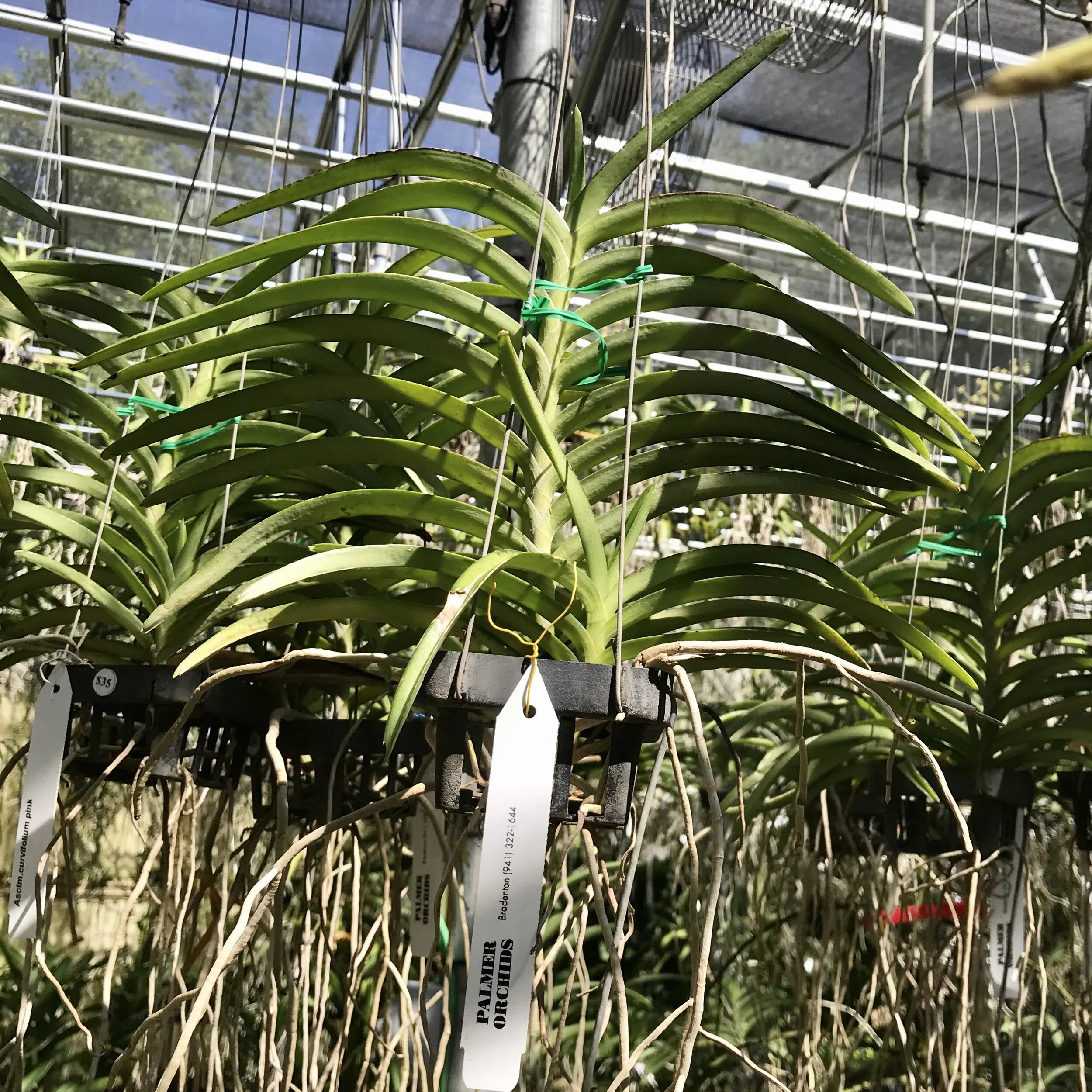 48E652FA-5D15-4D94-A7B5-5ECD32F68F1A