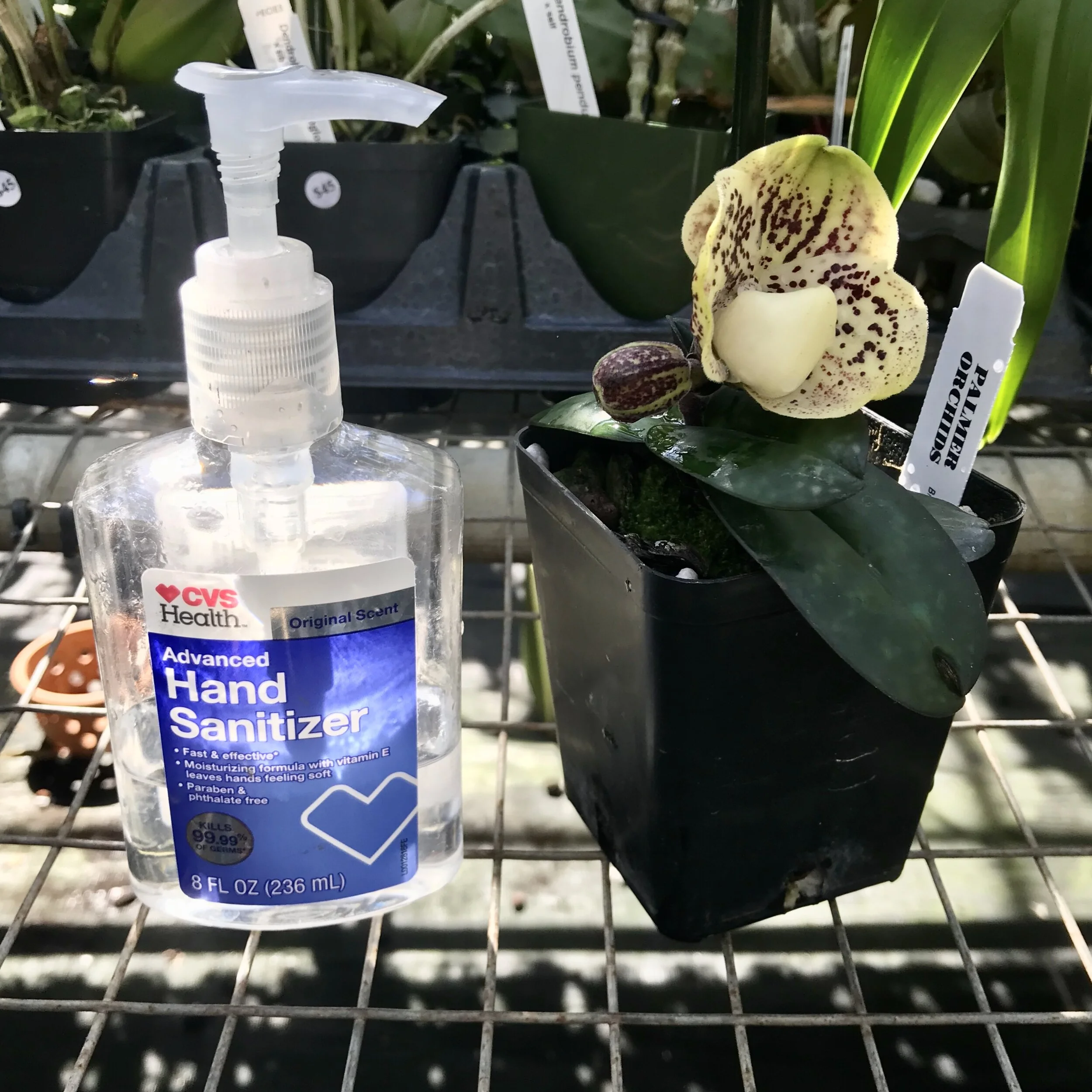 0588B513-4C0D-4A78-9B9F-EFE0253769D8