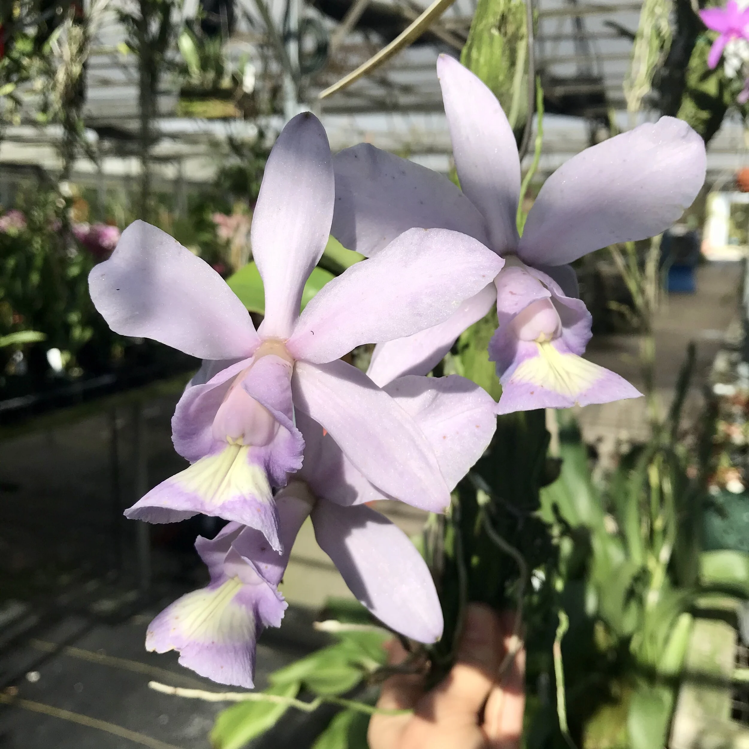 E43003E6-10C9-4B00-9157-9A347E6C5191