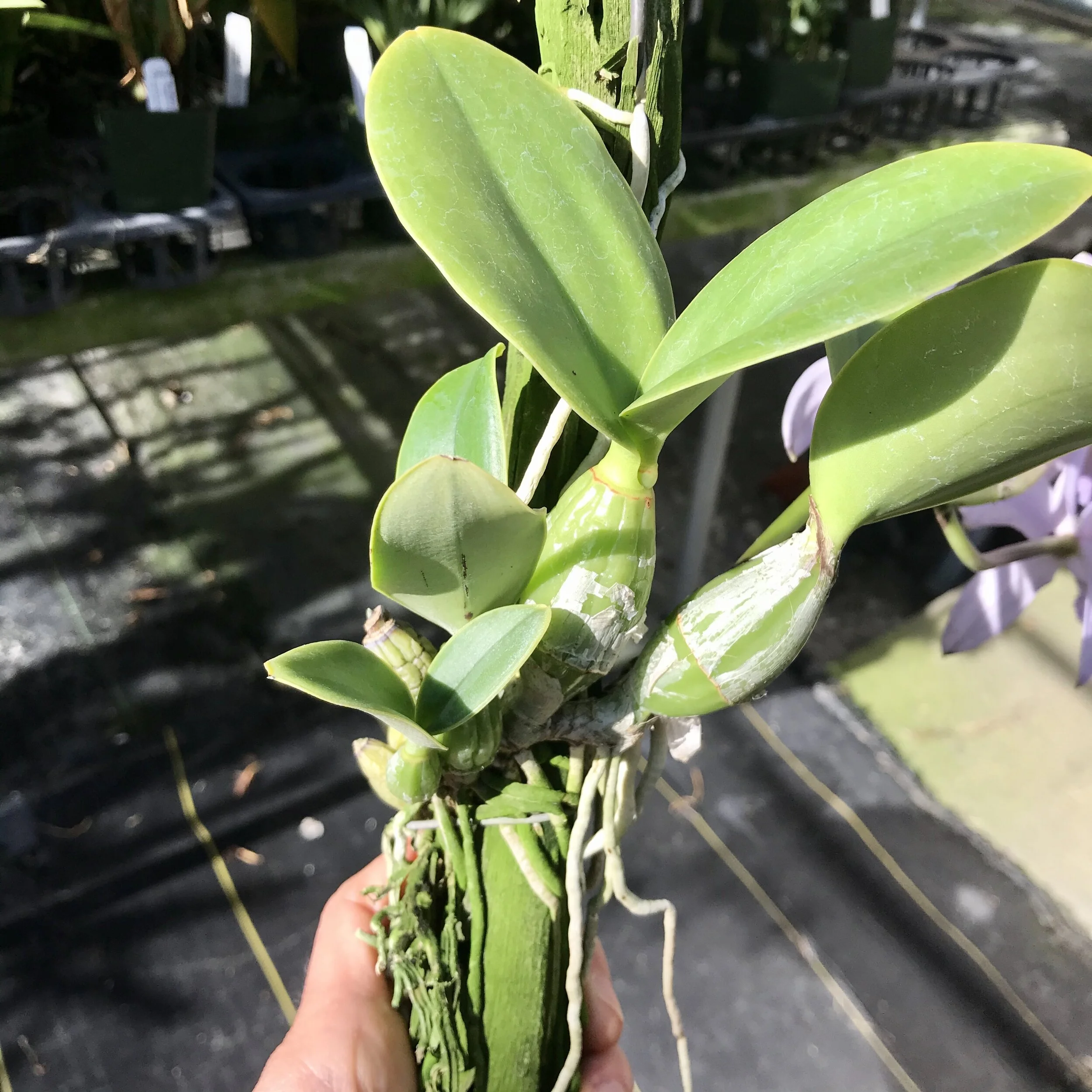 256B524A-D992-4AFB-BBF5-C0EDD10ED505