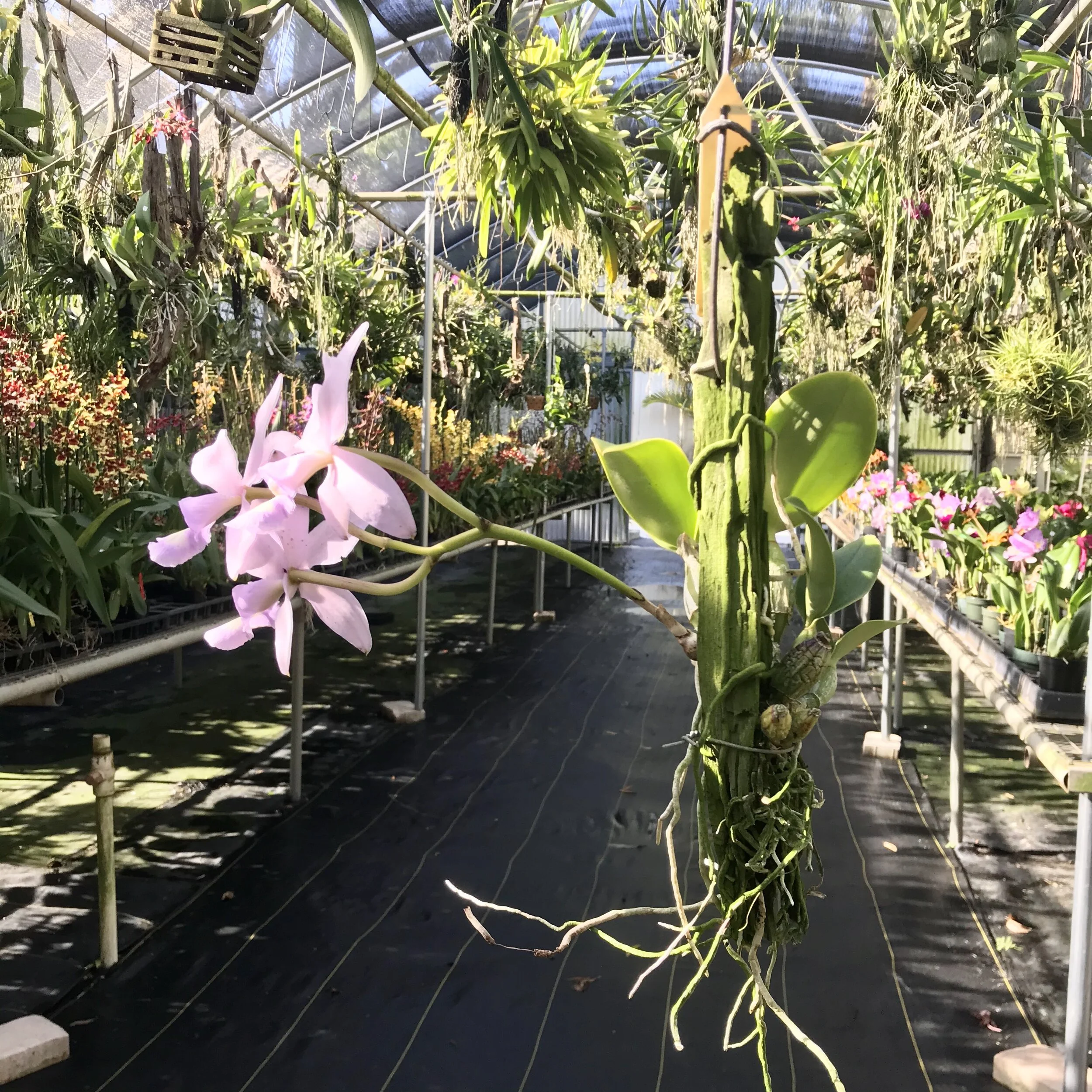 4FE5E804-FFF2-4D14-AA29-72B4FCC899DD