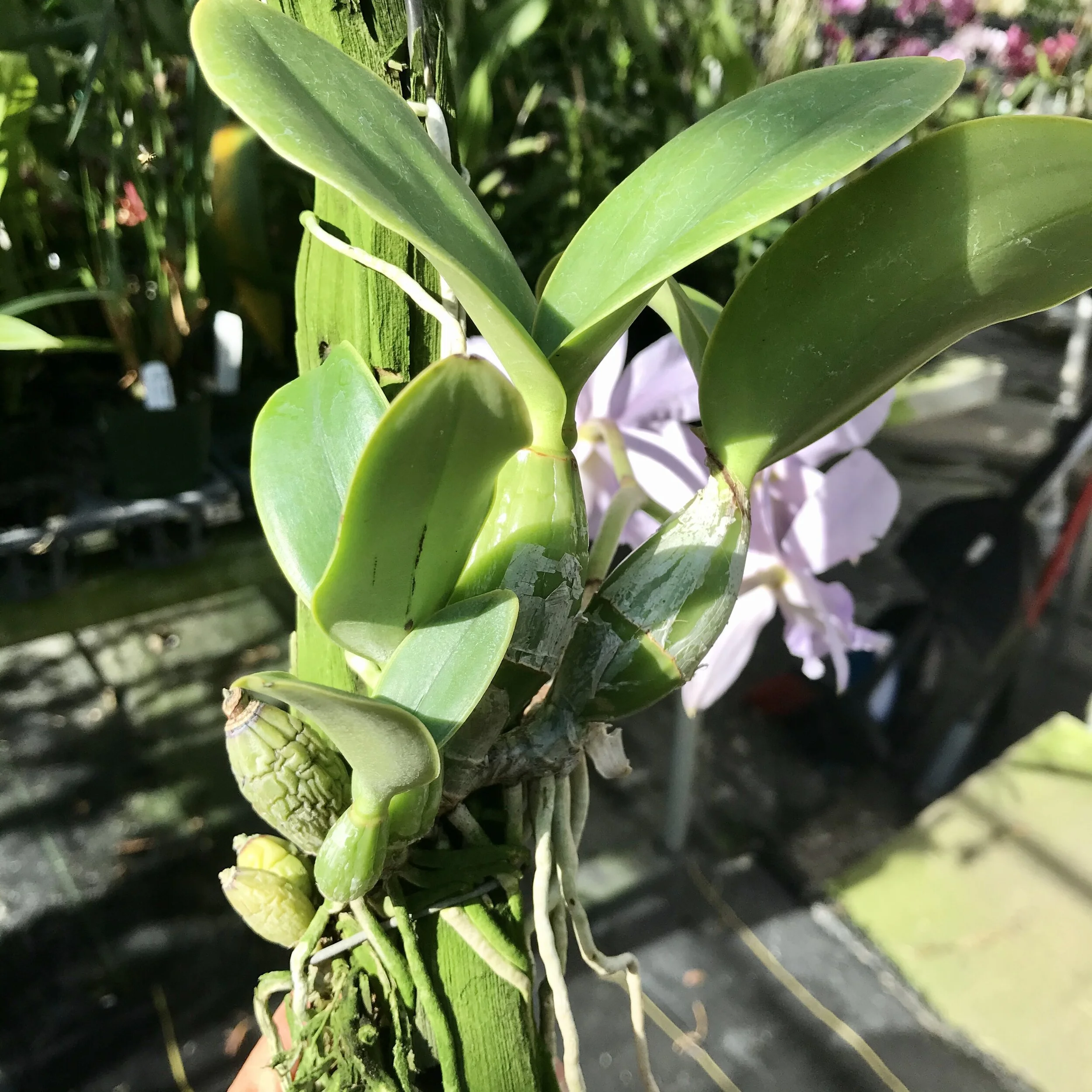 BCFC8EE6-498A-4A1E-A555-B8B1D32DCEFA