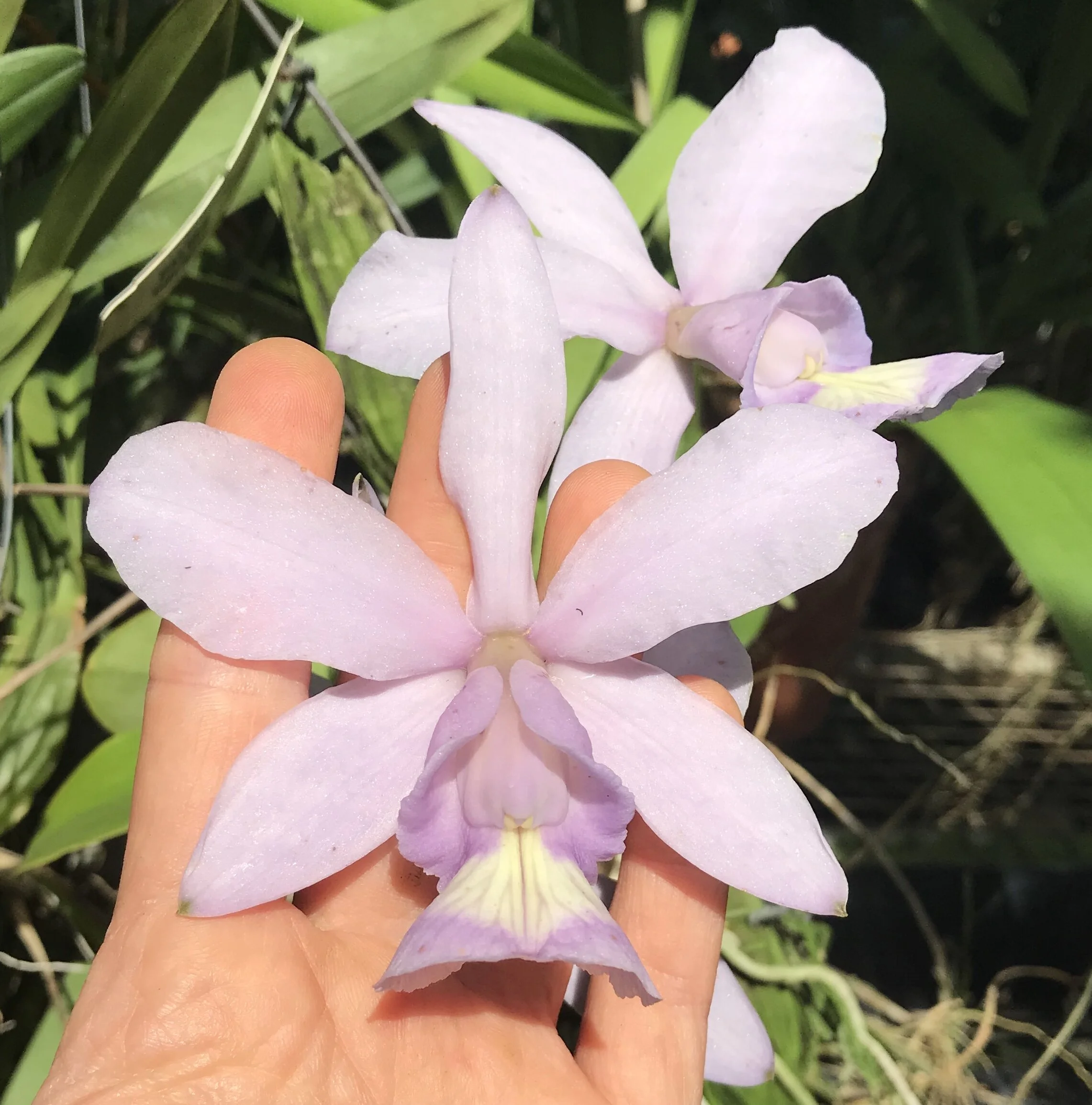 ECBBADAF-838D-4892-8459-872301234D2D