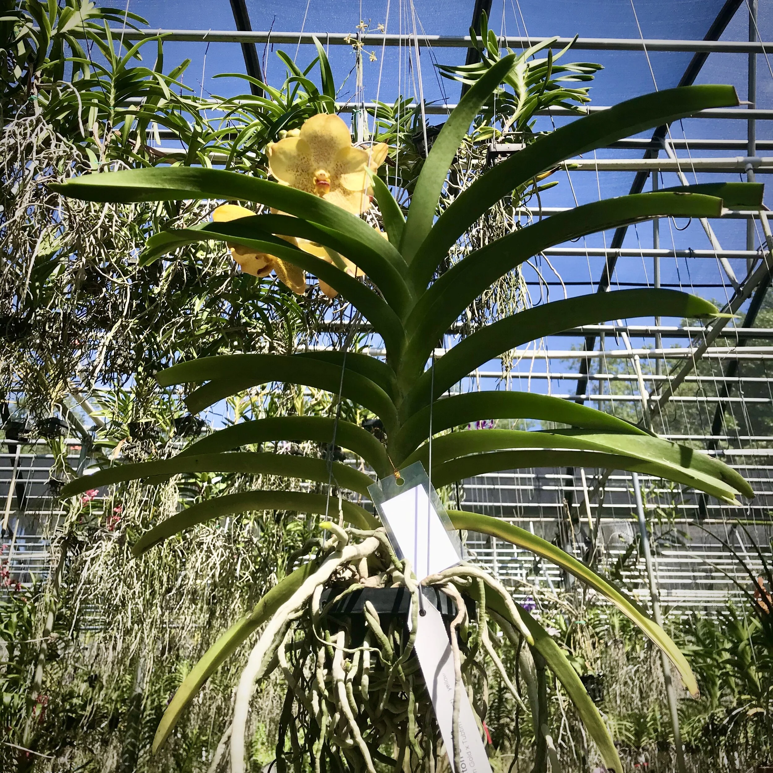 E9C7DE9F-DF33-4984-90CD-675C13A94FCB