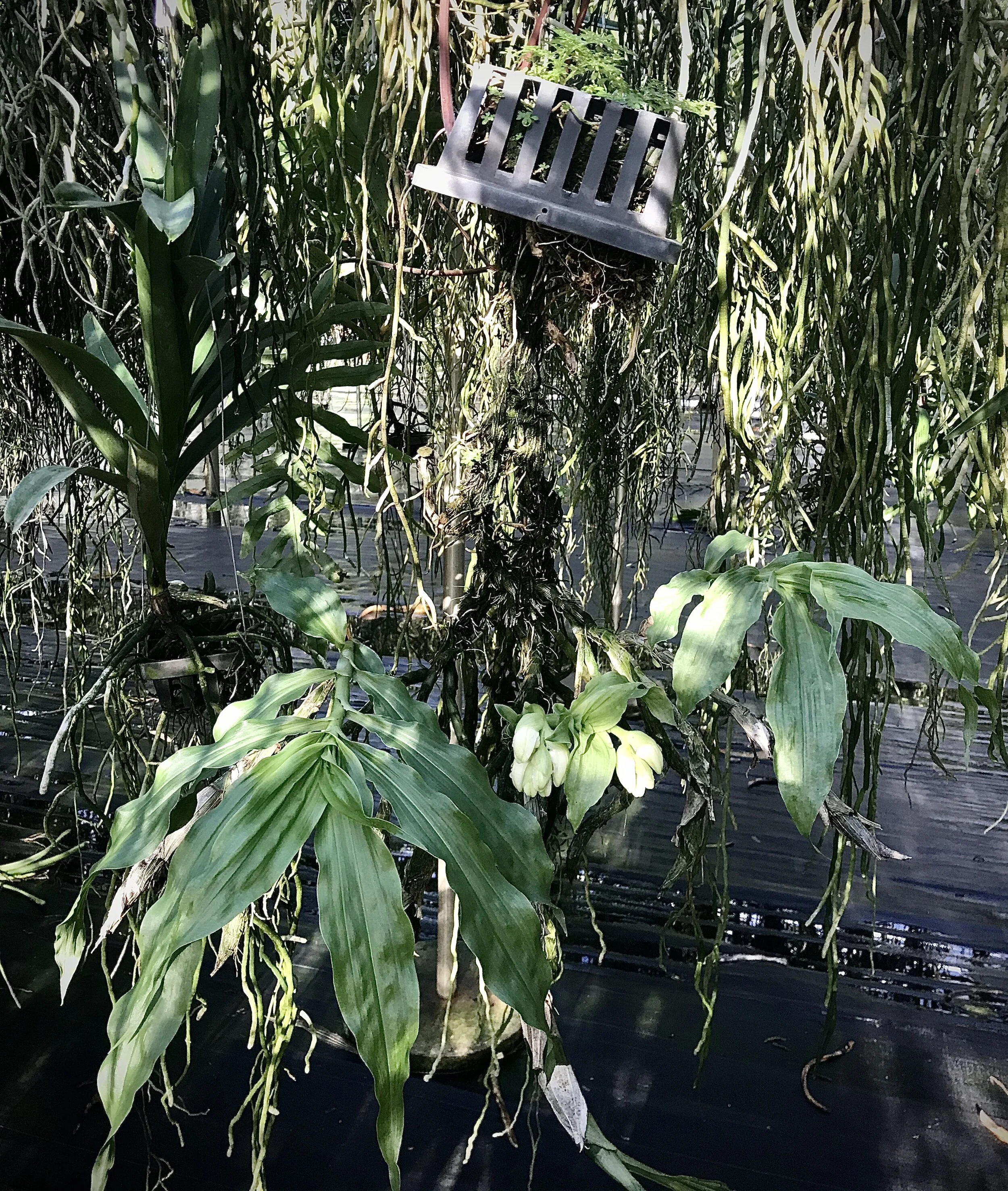 EDBD0905-CE31-402E-8114-14446D8663C9