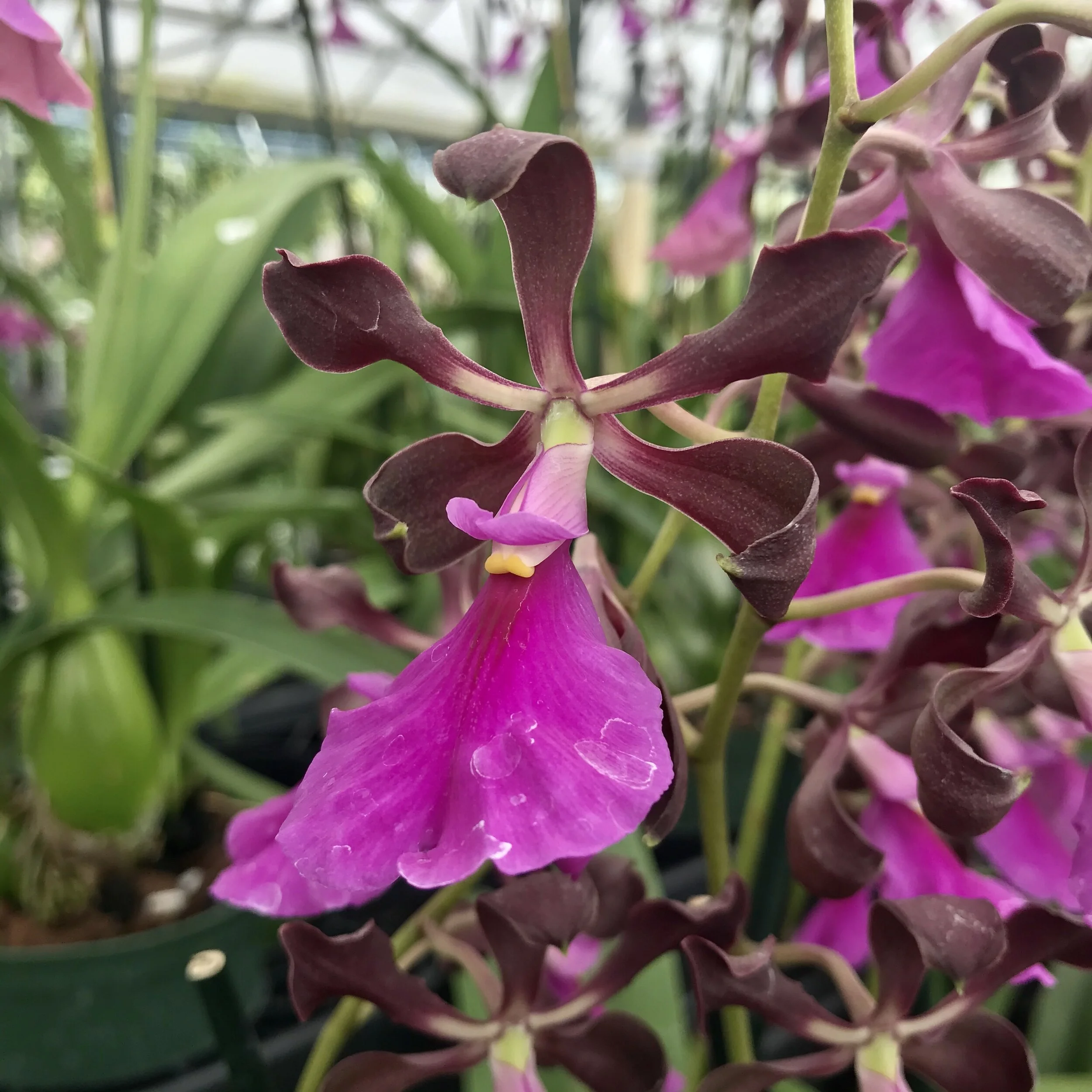 700230BD-89AC-4337-9494-43AE1C99AEC9