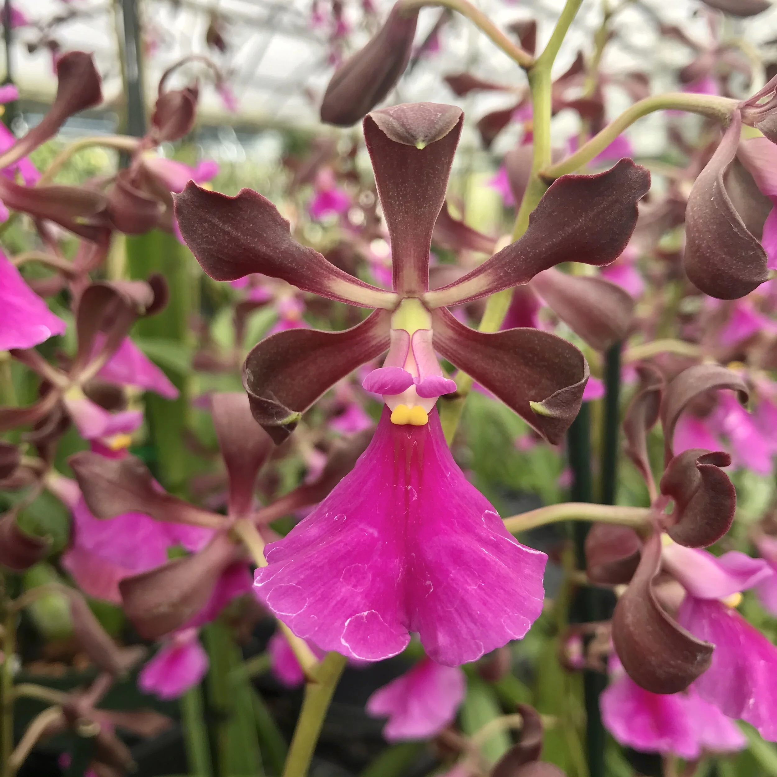 C4D9986B-3F8F-4421-B847-3D022E3AD249