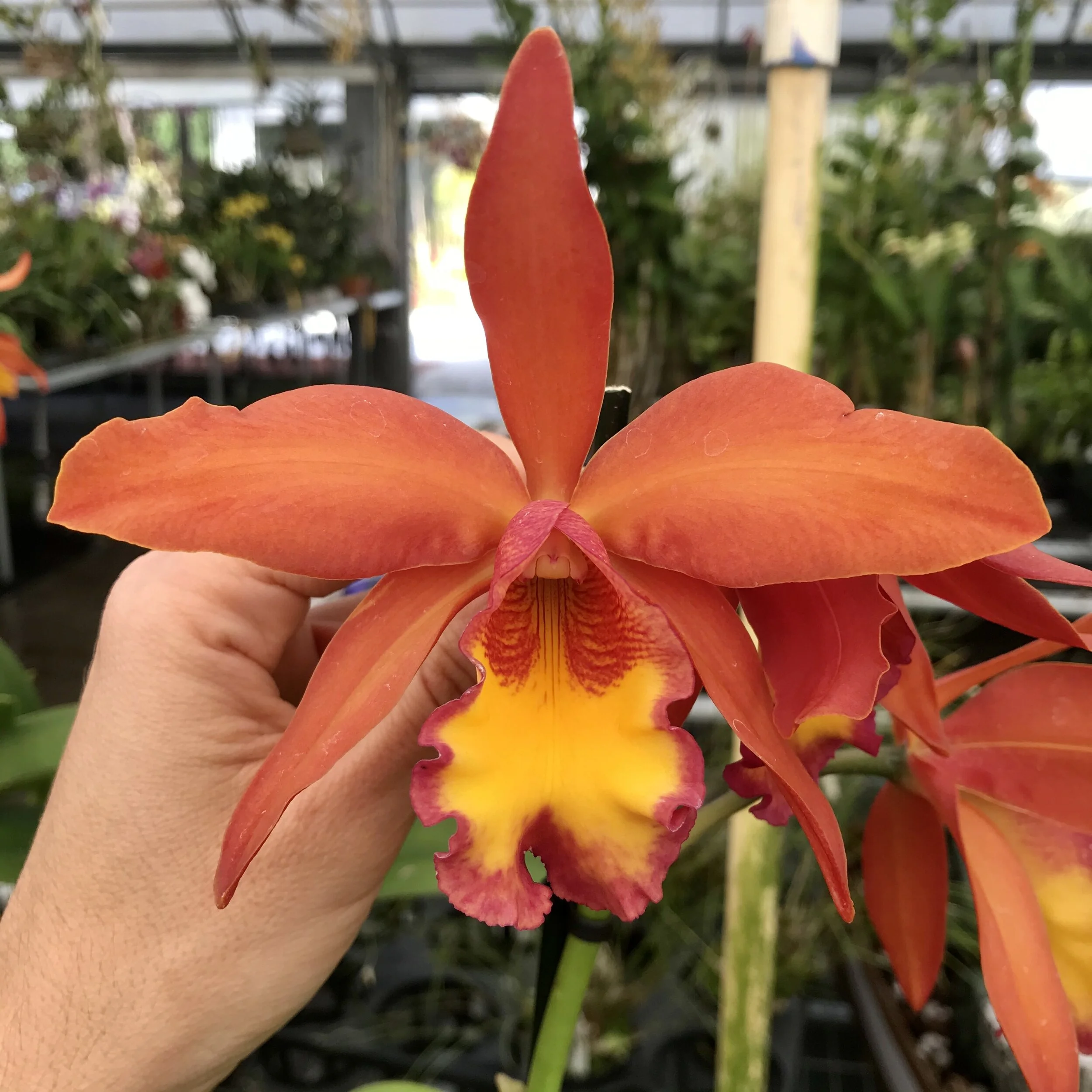 533FB104-6BBB-47DC-9FD7-82FA50C4126A