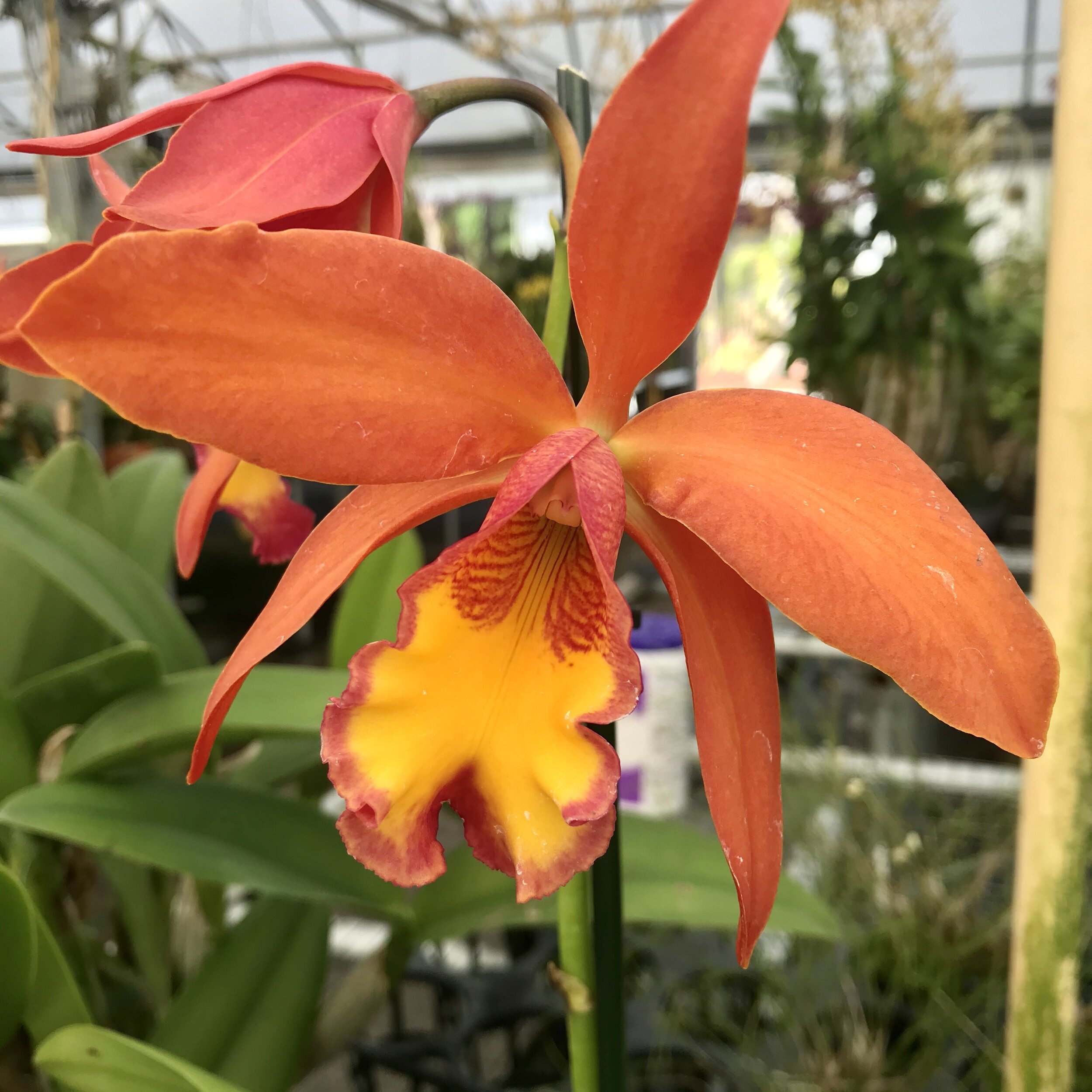 303187EC-949A-40AA-9CB2-320498F6D746