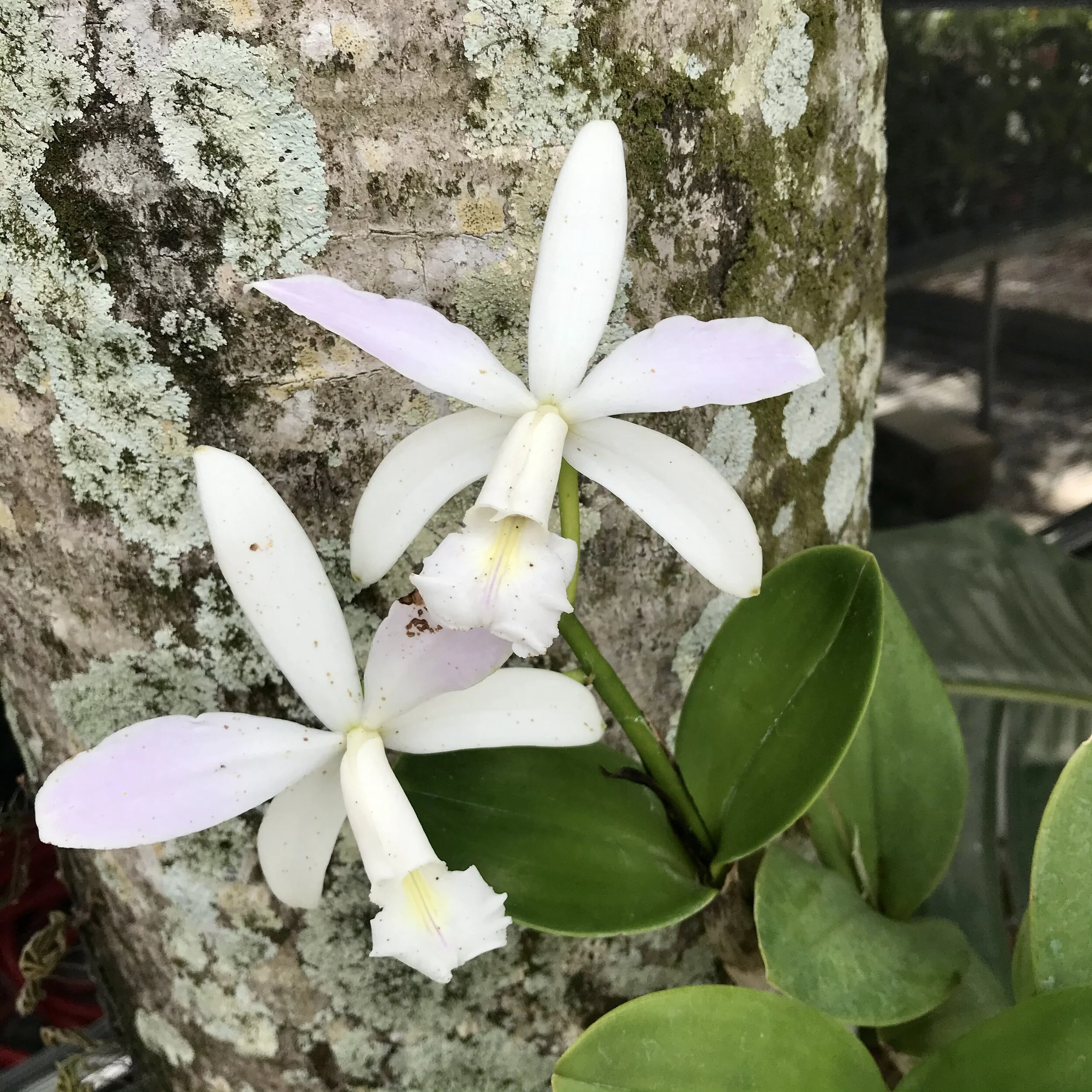 DB76402F-1210-4697-B551-284750F5BA1B