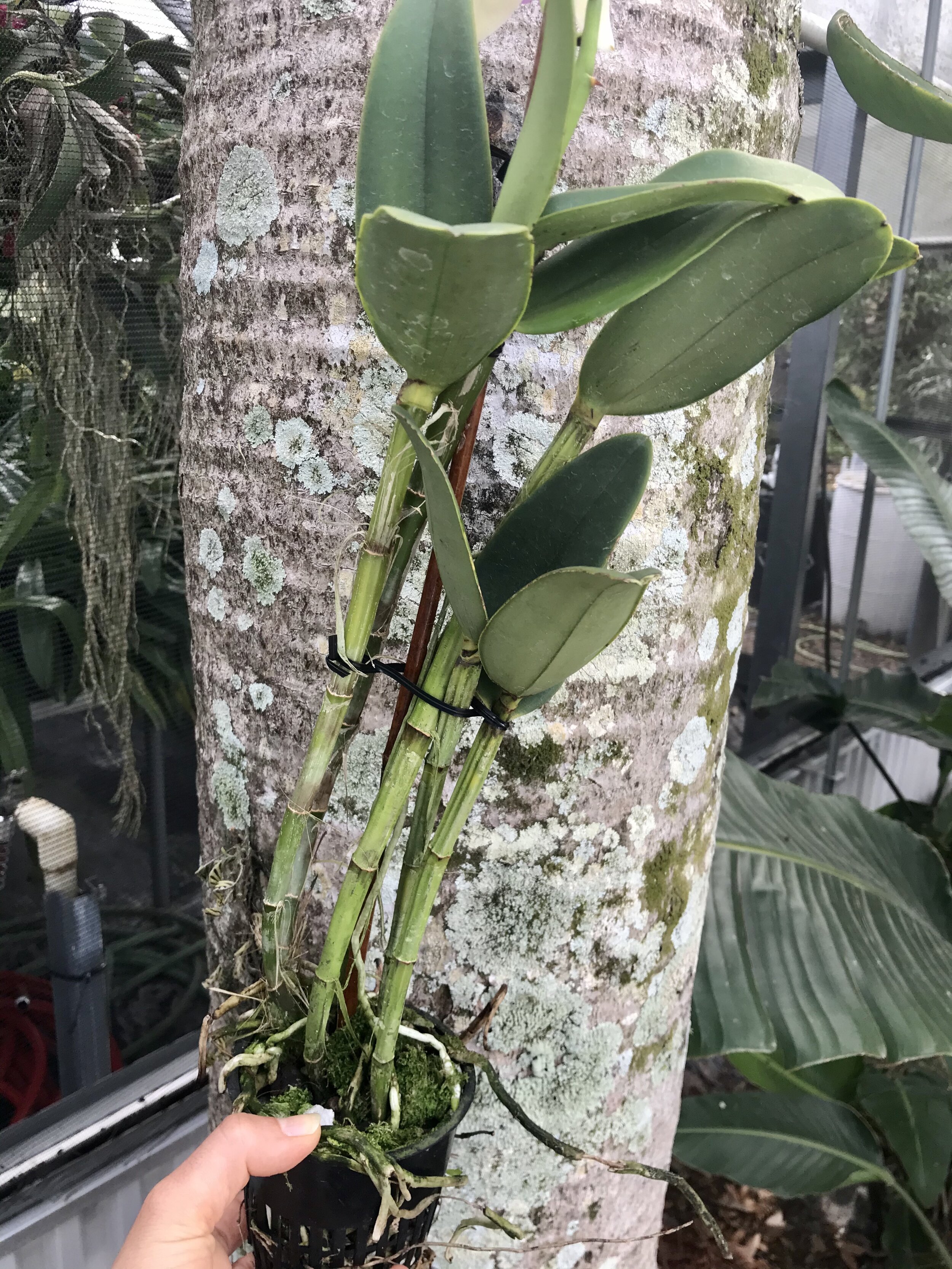 00D6C2EC-4B72-44D8-B519-BAADE44F0BEE