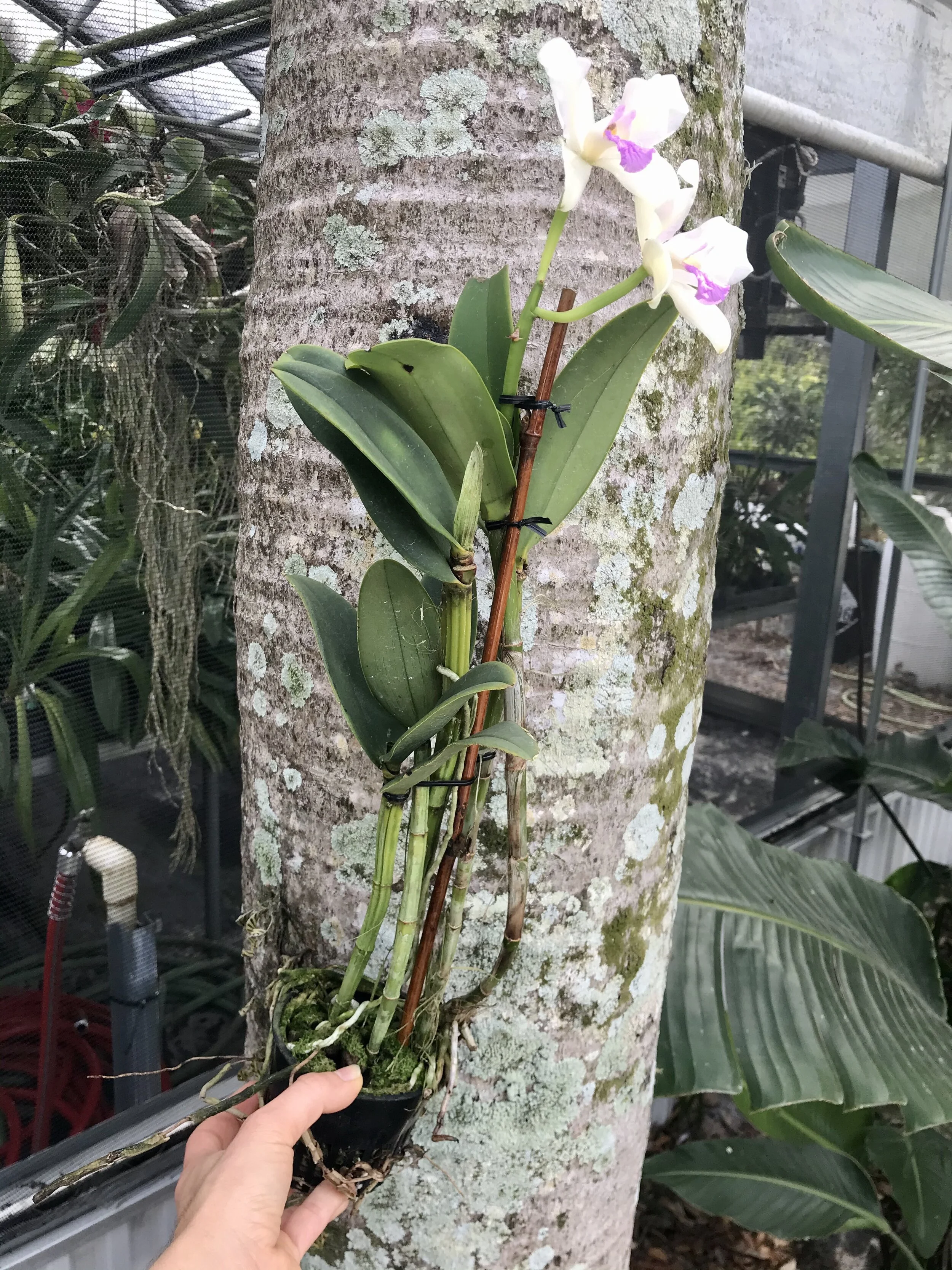 795DC8F0-7CC8-42D7-9811-8C2079CFF394