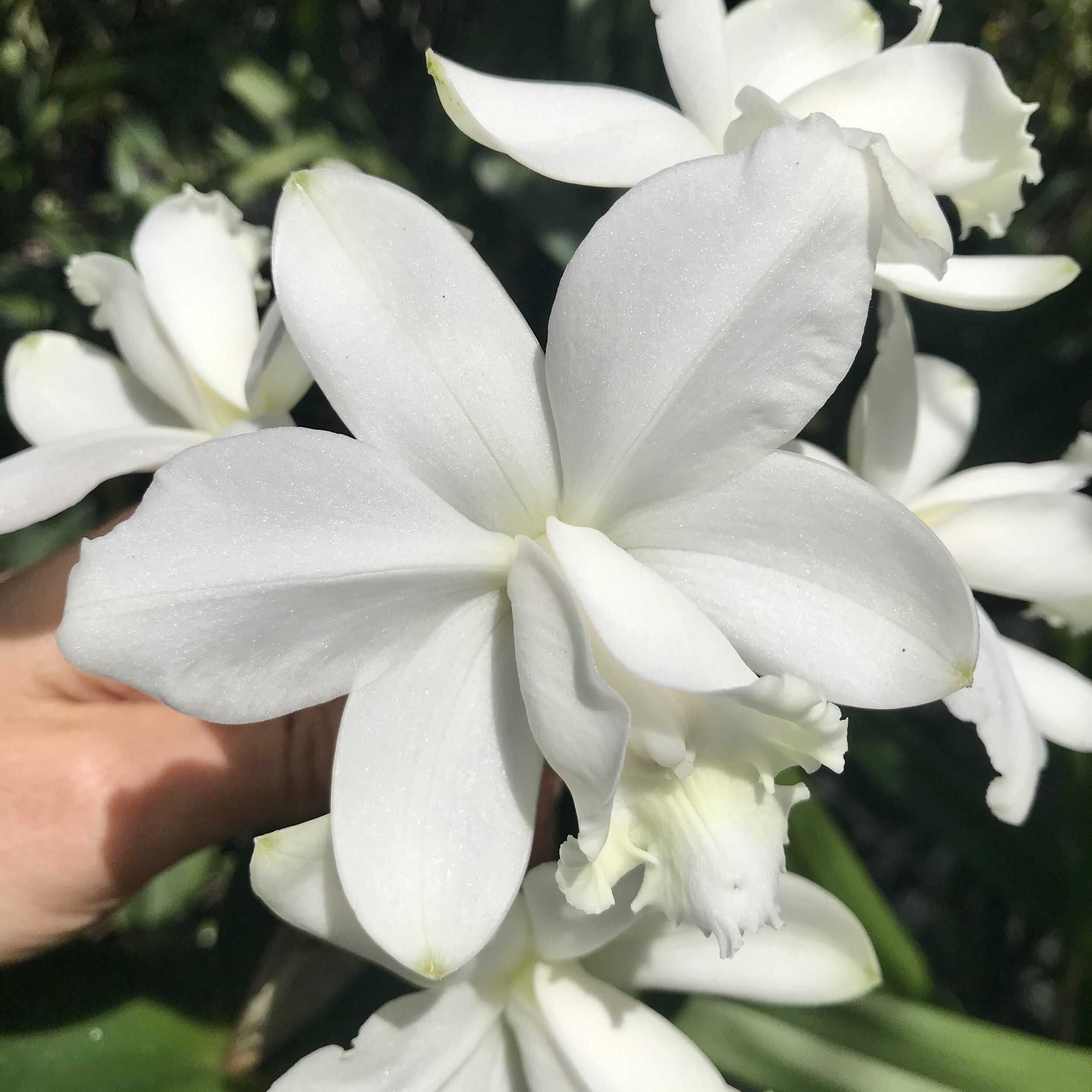 5B81F9DB-5E6E-4876-8127-1B3F163FE2FB