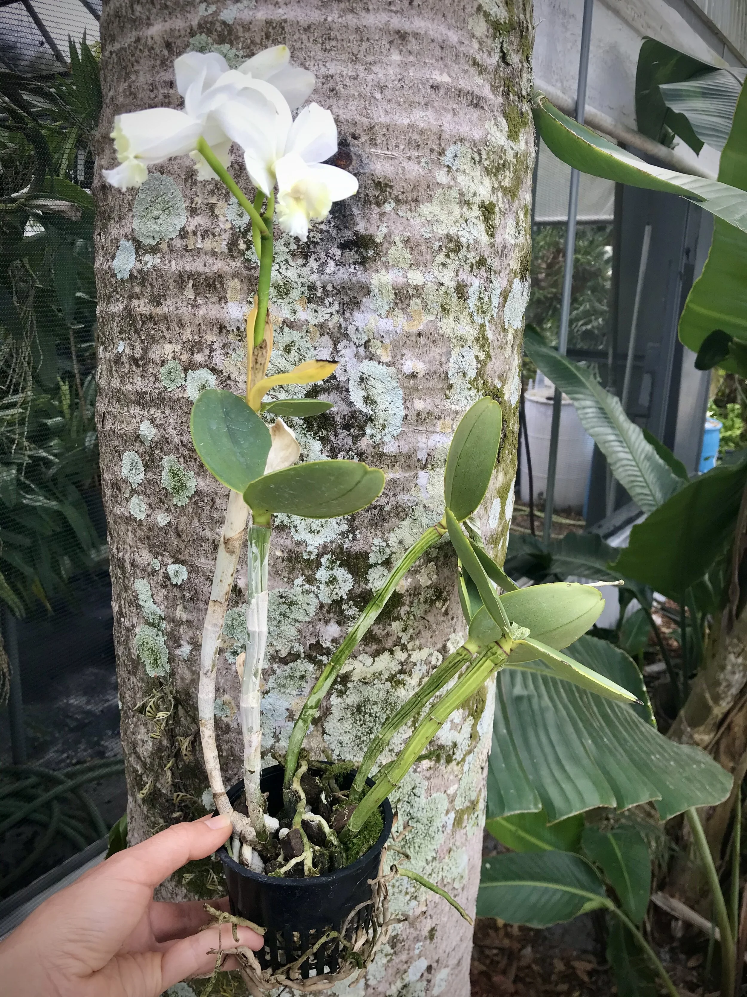 794E607B-459F-436C-887D-46D169FD0E01