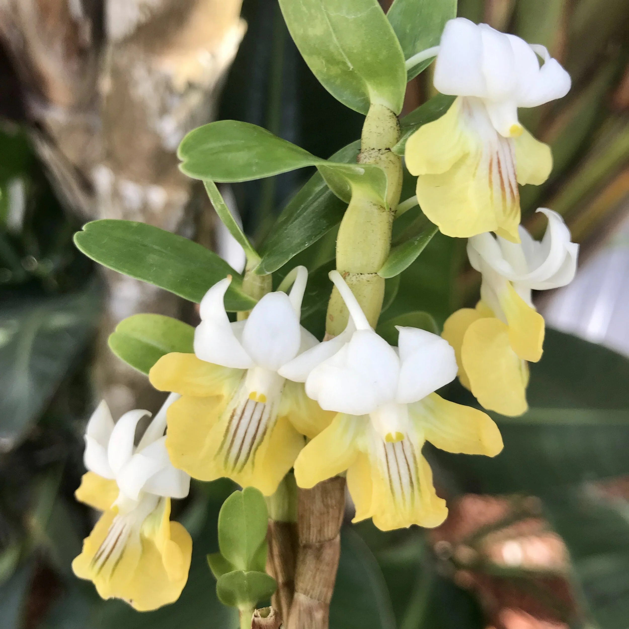 B8F9ECE5-C3FC-4E4F-9CC9-1B82EB2B5E7F