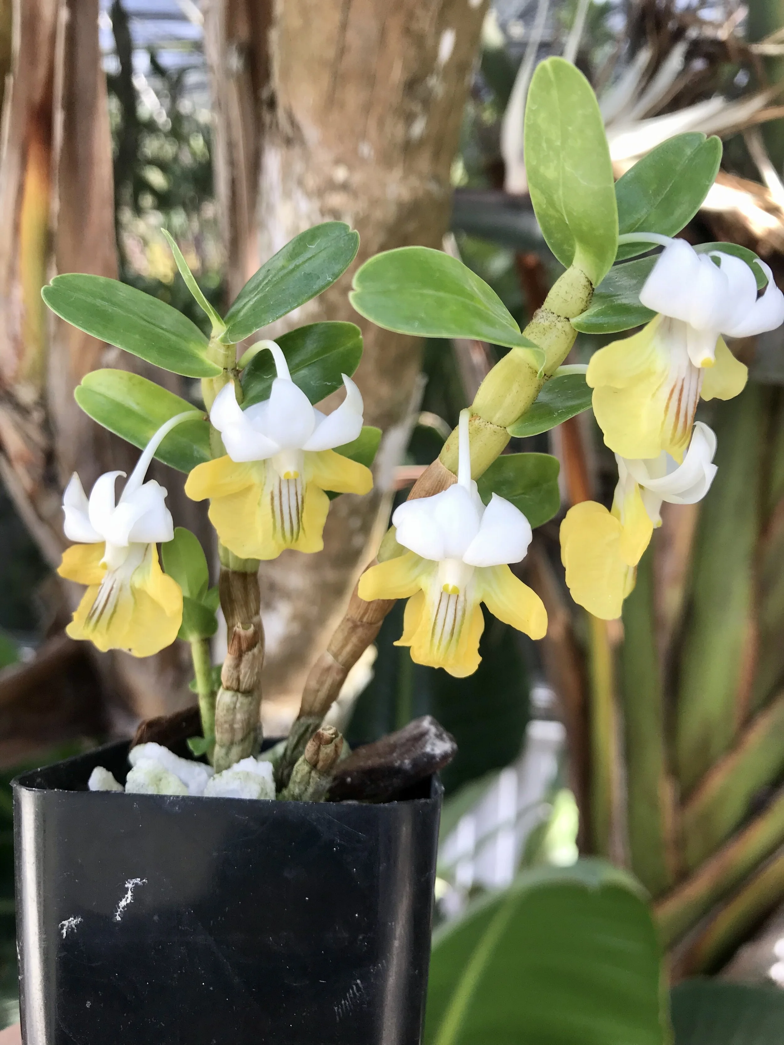 DA1D45DE-47DA-4F2B-A77C-2063541A71D6