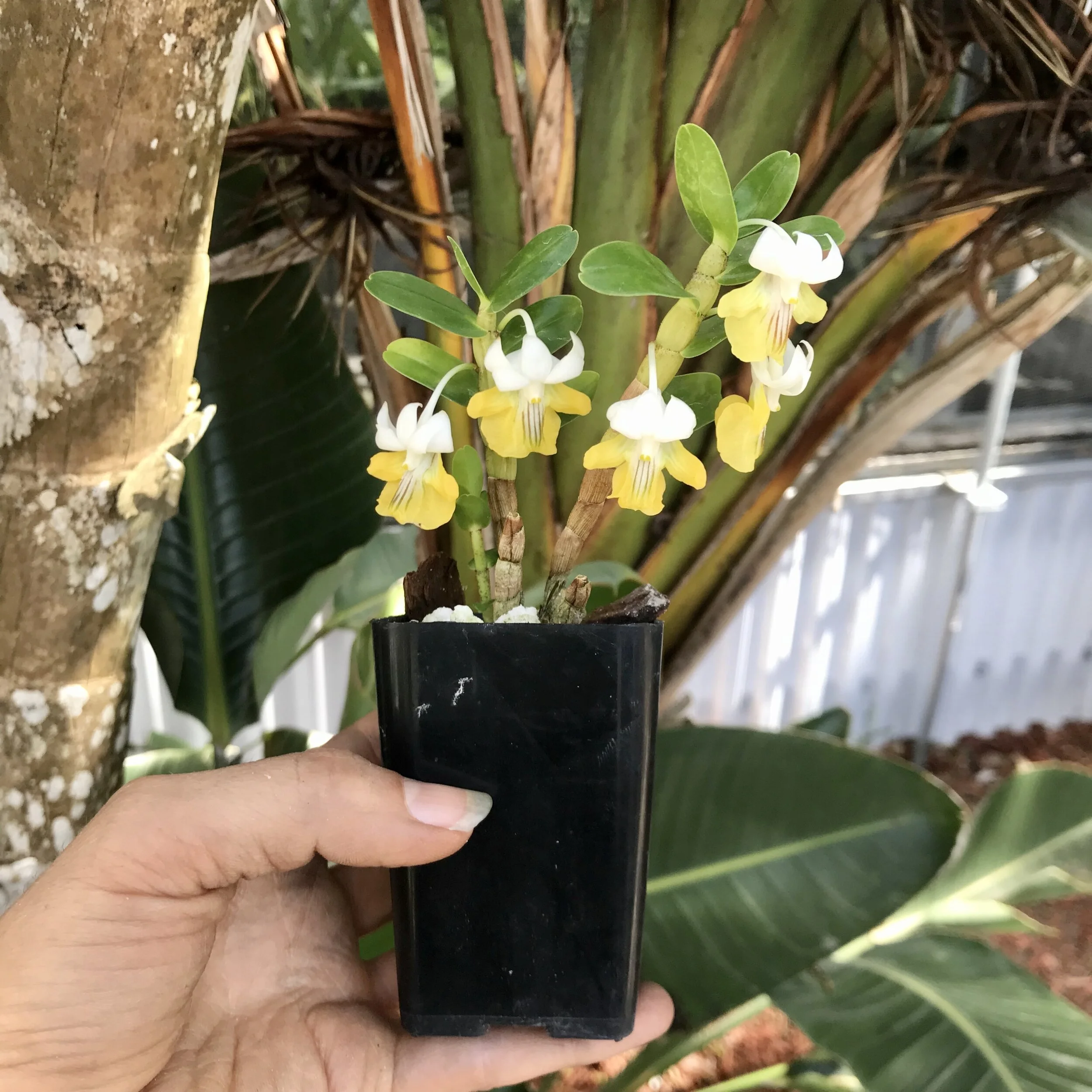 D301DC9F-36E9-455A-A2F4-0A2FD18295A4