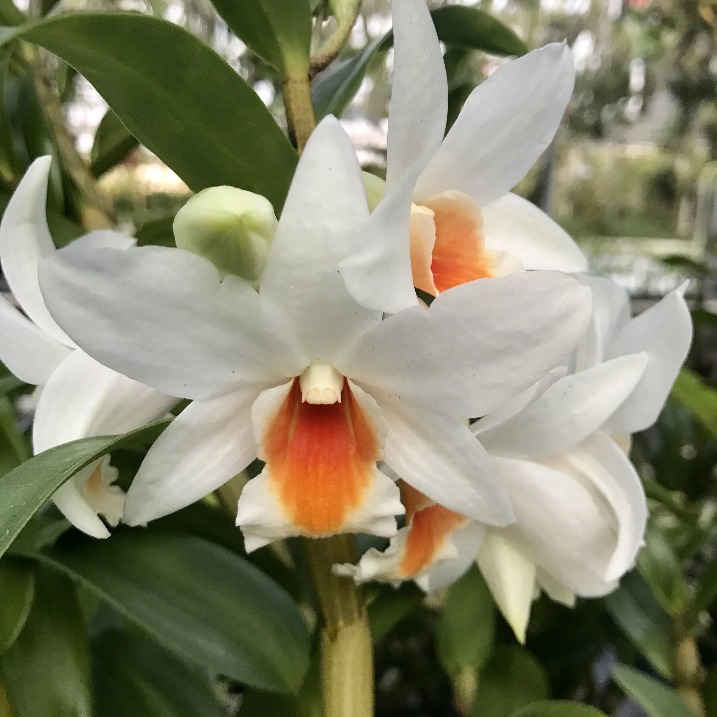 576557D4-8021-42DD-8926-F3B478B981A1