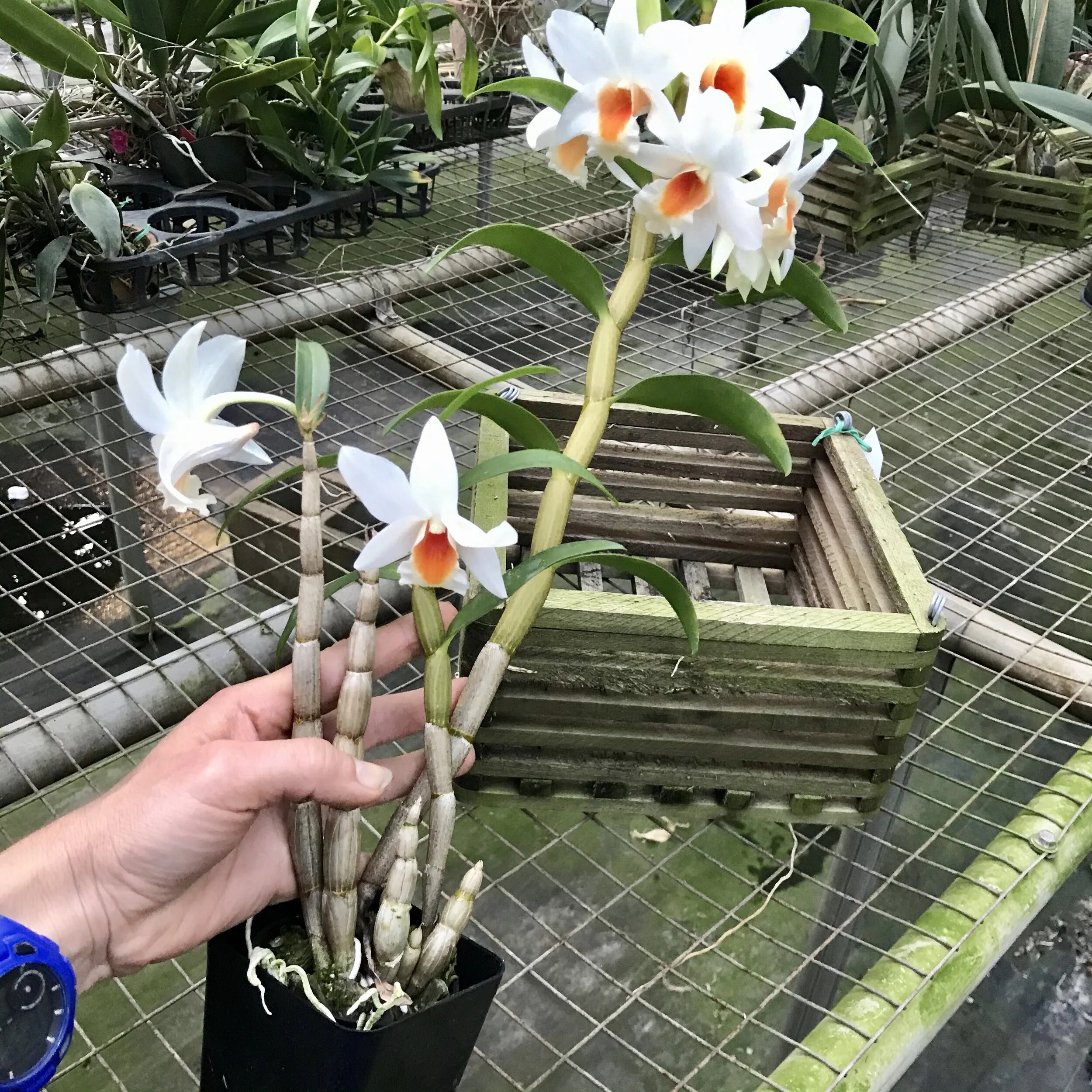 EBDCB5FA-5126-4315-9DE8-95C05944E058