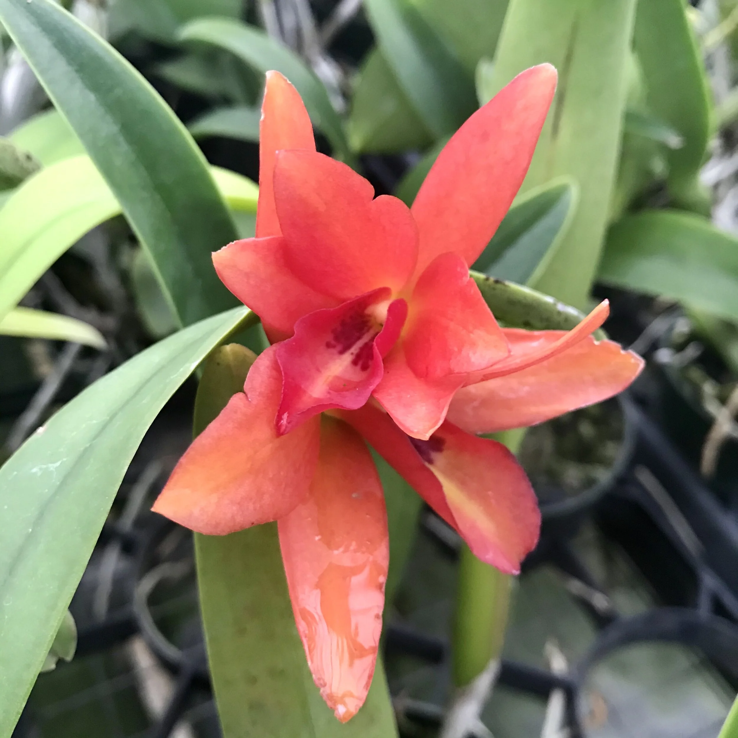 23C4064E-EAD2-4956-AC1B-E7086B8D8478