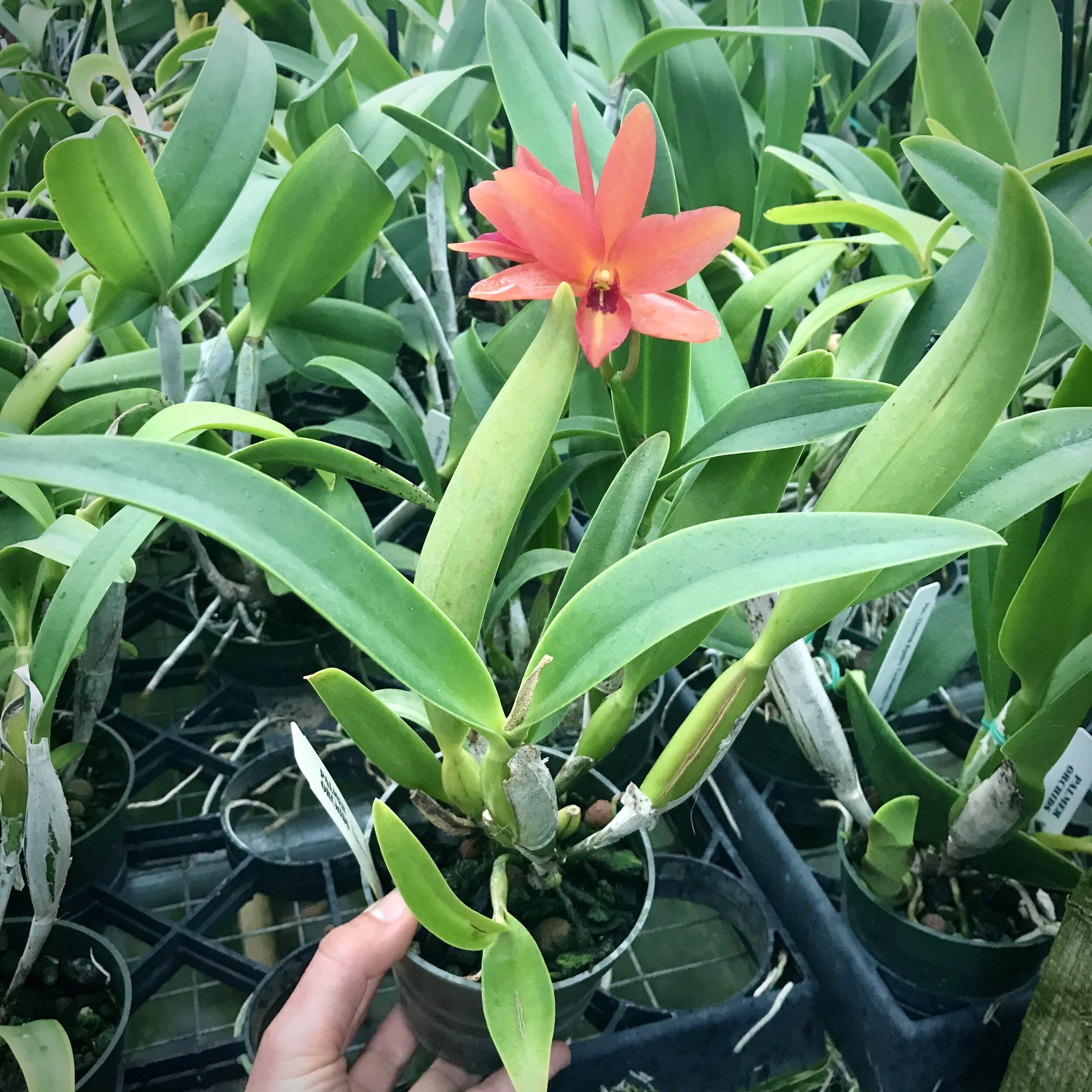 BBDBEE3A-CD13-4A81-8F6C-EC2064FC8E8E