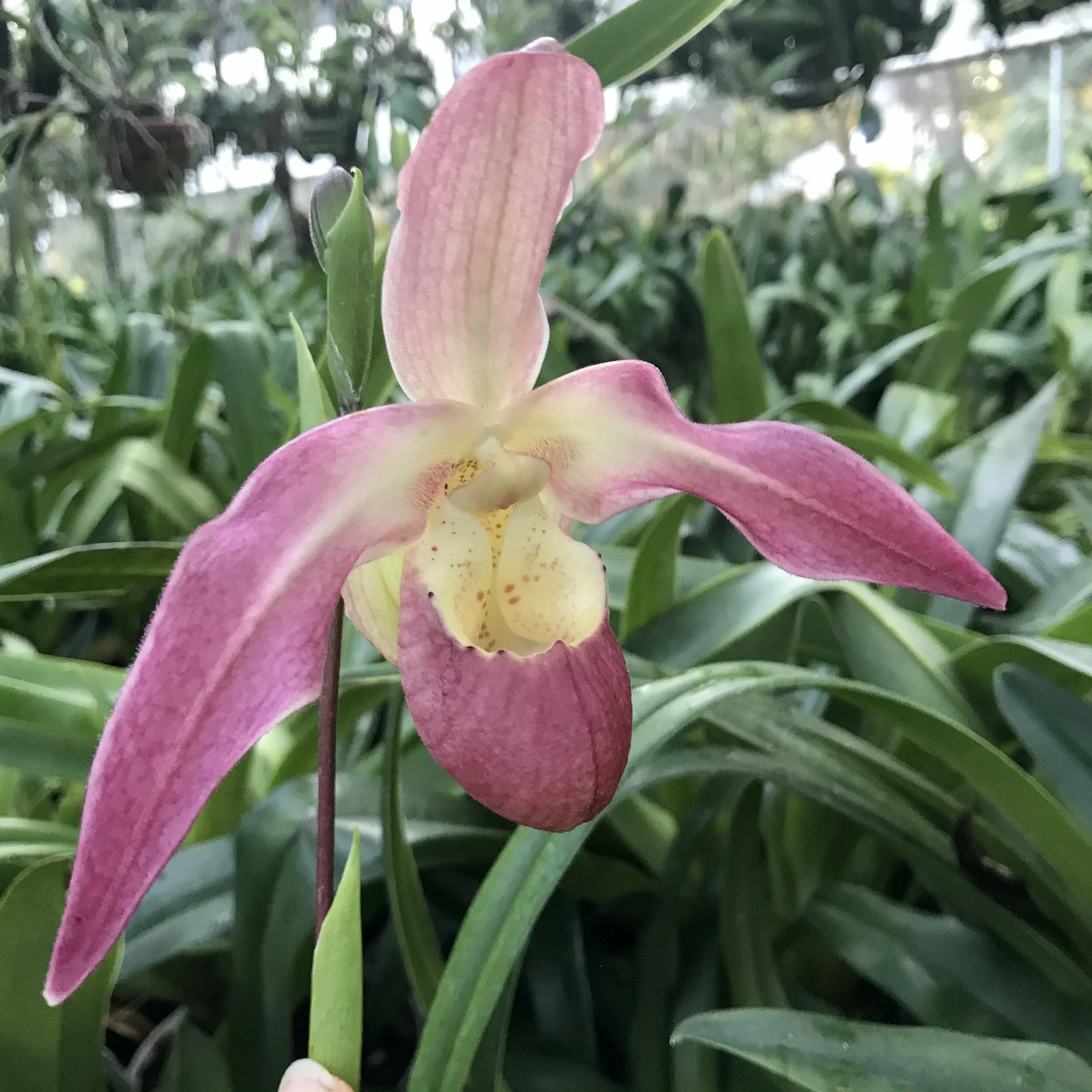 CB187706-E339-4225-AB07-6ED10390EDCB