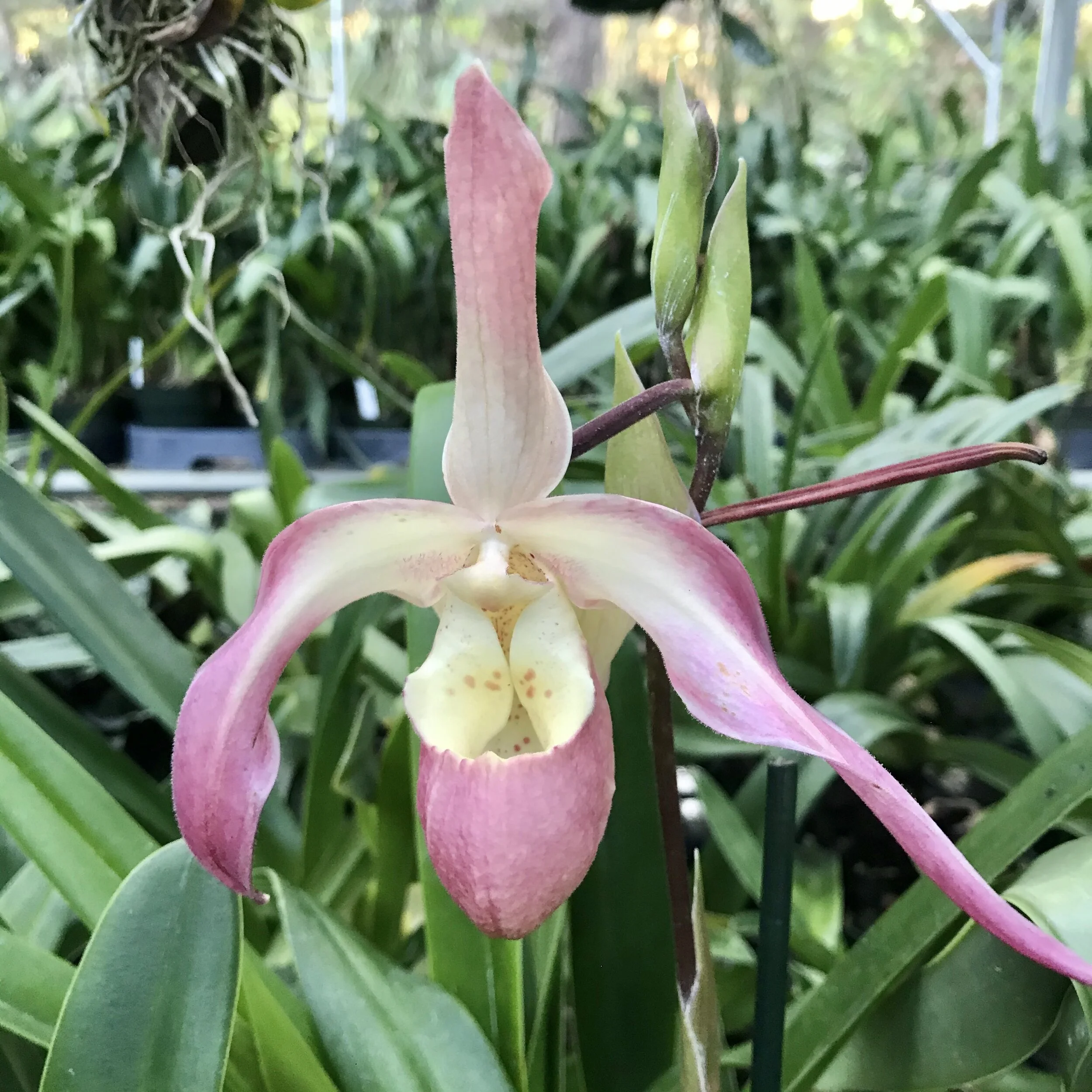 264CFC77-C882-4F4D-B54E-4AC623573702