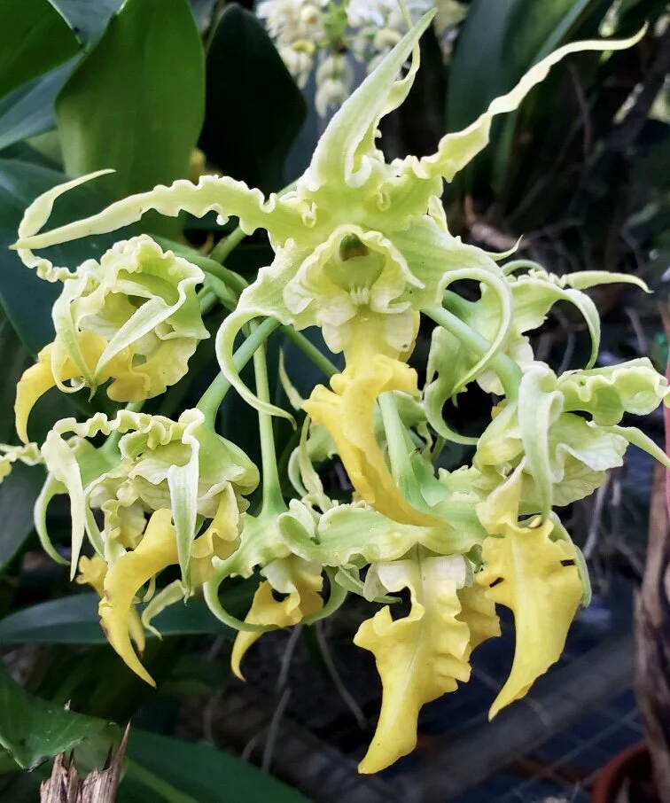 4BE61D17-4595-4E43-BD00-092480F60FC0