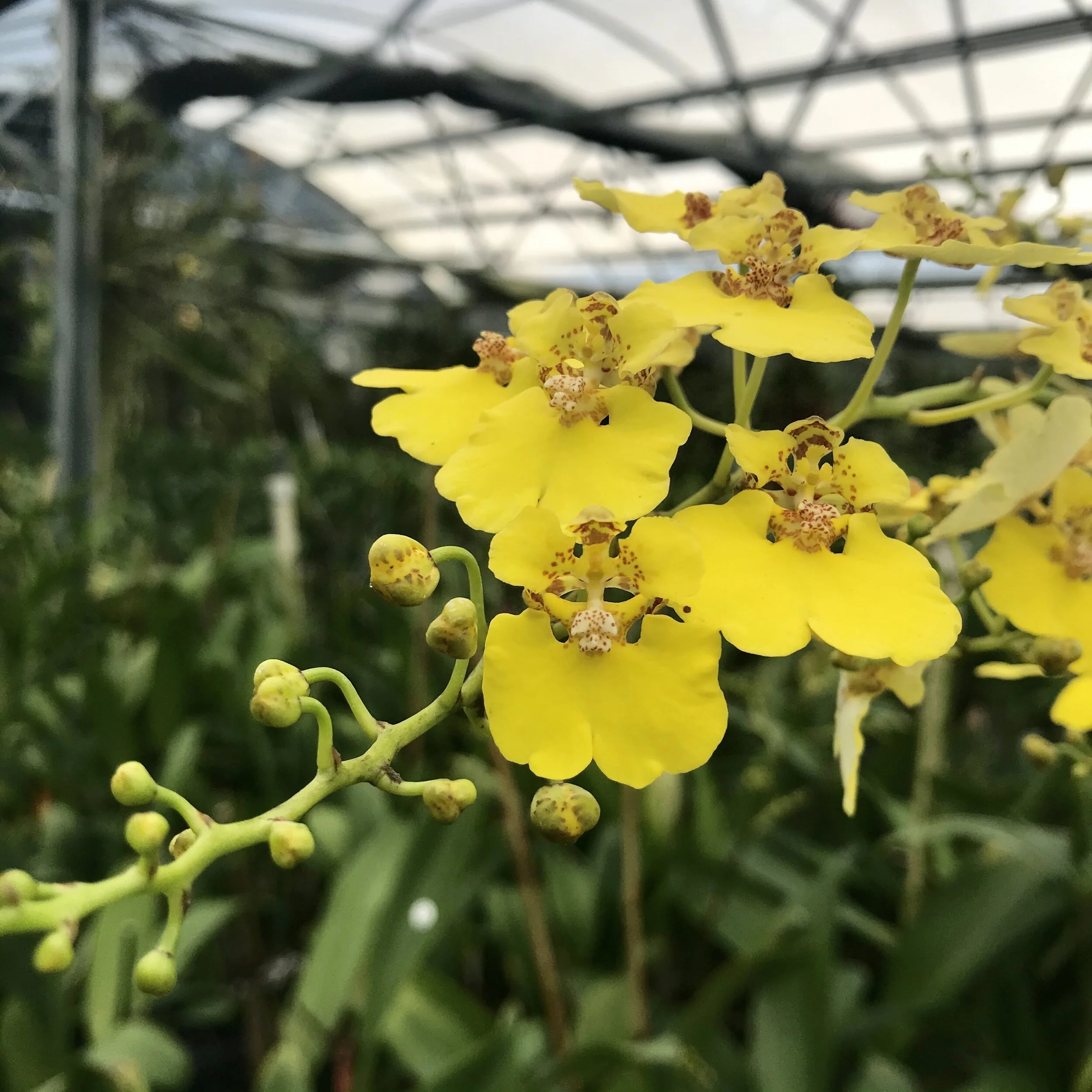 BD554D1A-DDBD-4071-9C4A-67F14E67A242