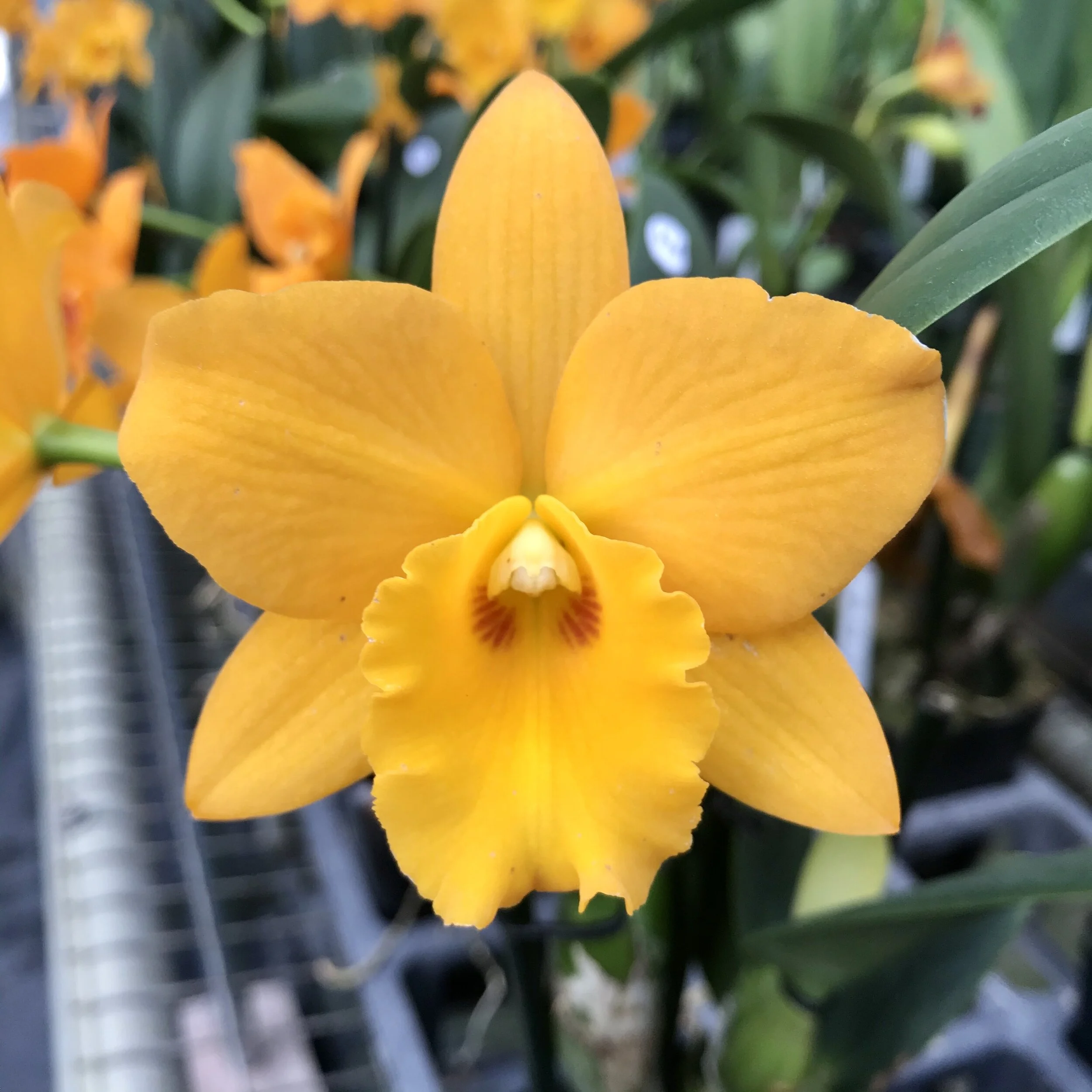 EEE73835-CA79-45B8-ACEF-2AC9073405E0