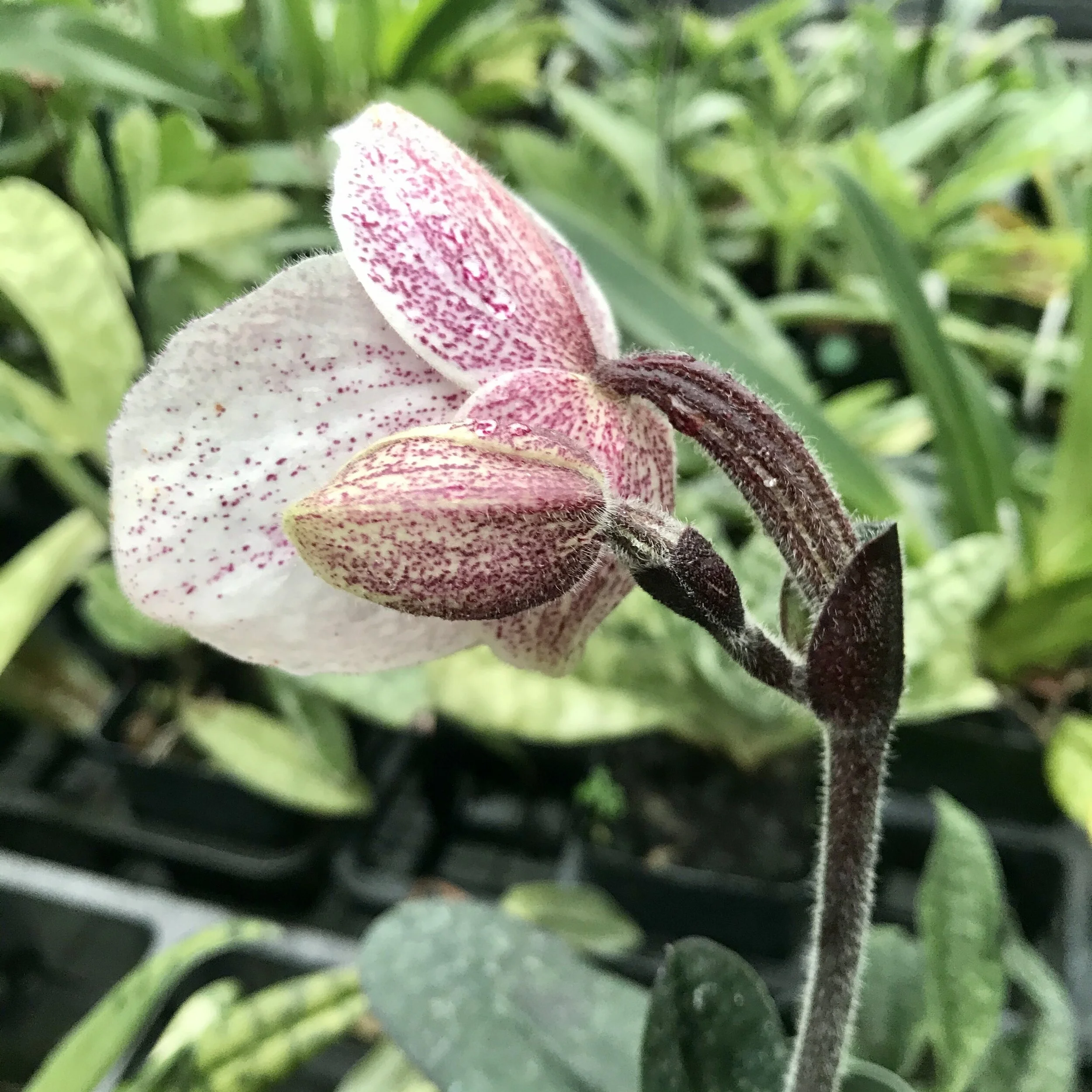 994710E7-DEF9-48DB-8C3B-D0354848306C