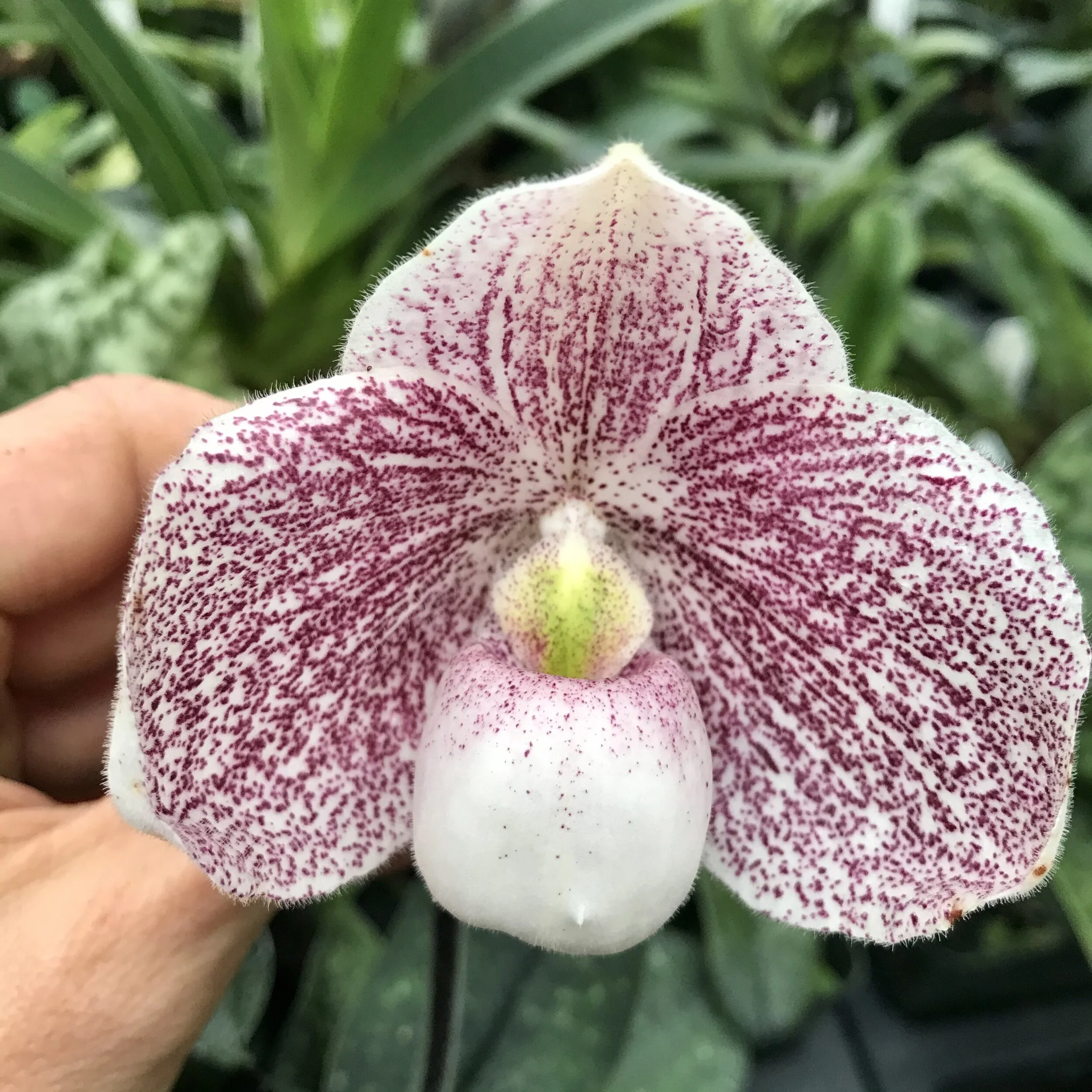 F5B40185-A2C0-46F9-A832-5BADA5C098BD