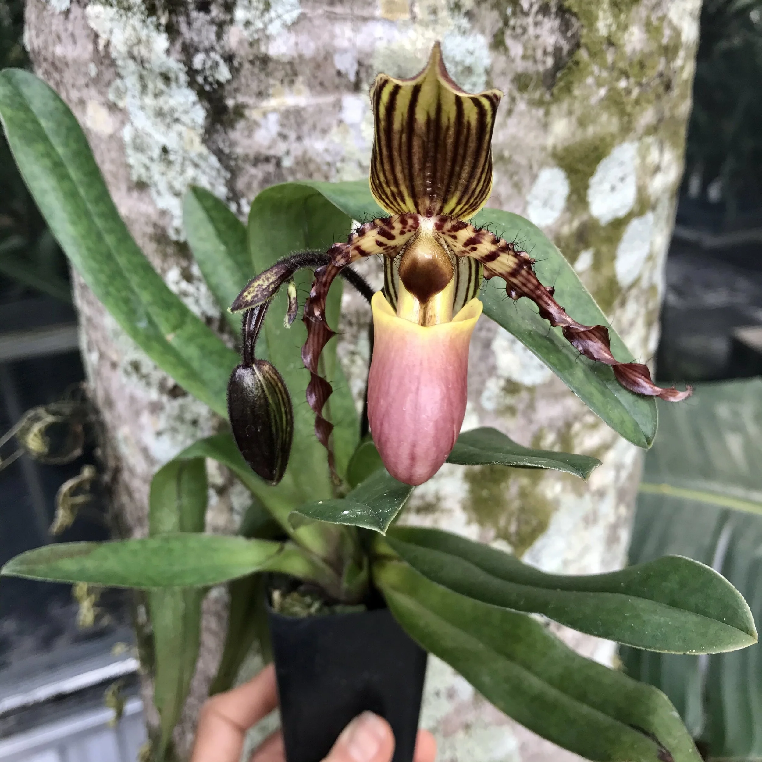 9C568424-5161-4519-A03E-5D7847C520A6