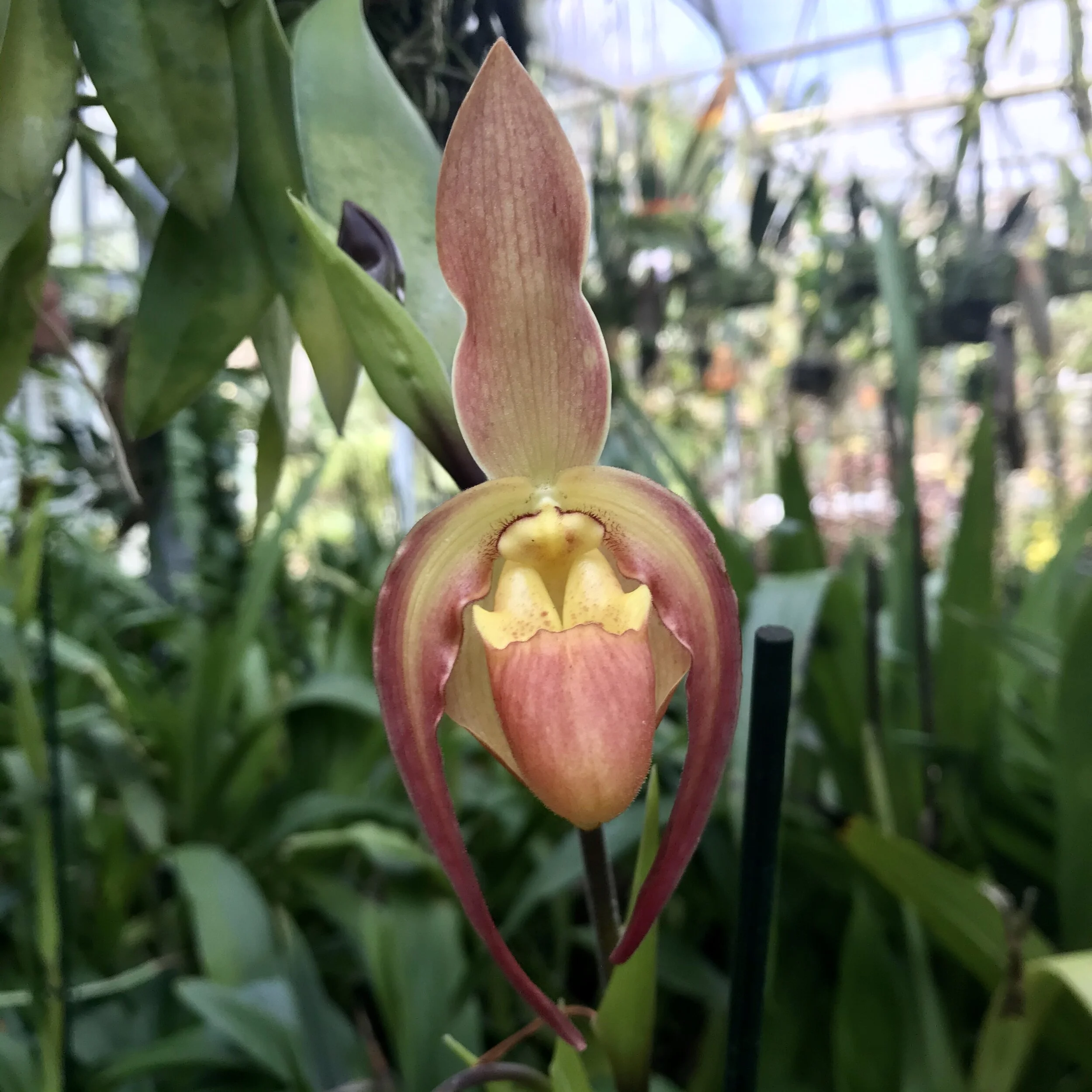 2ED0F17B-325E-46D2-B3FE-BEC2CA0E600F