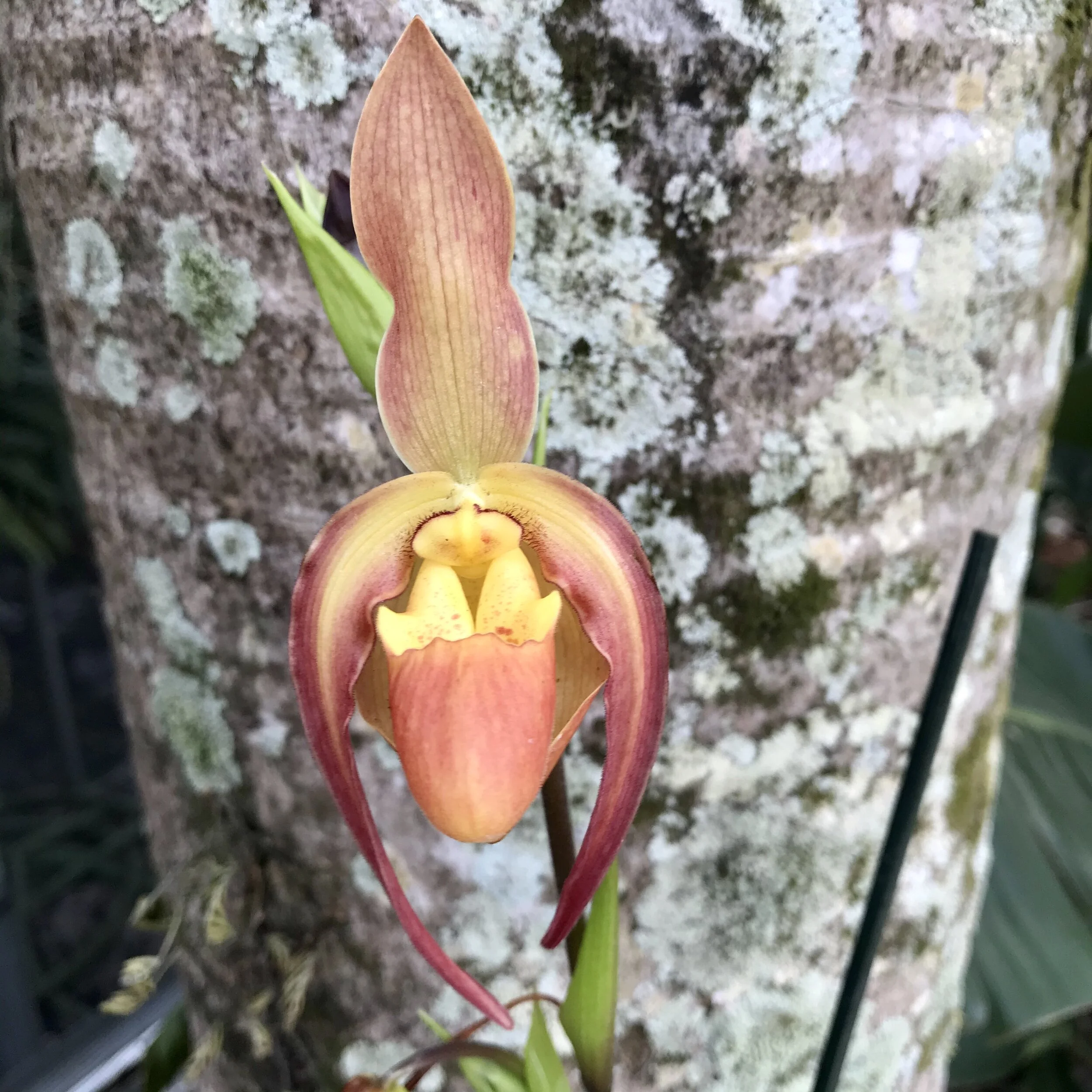 47D33ABA-1CE0-4AB6-B20D-01145E090843