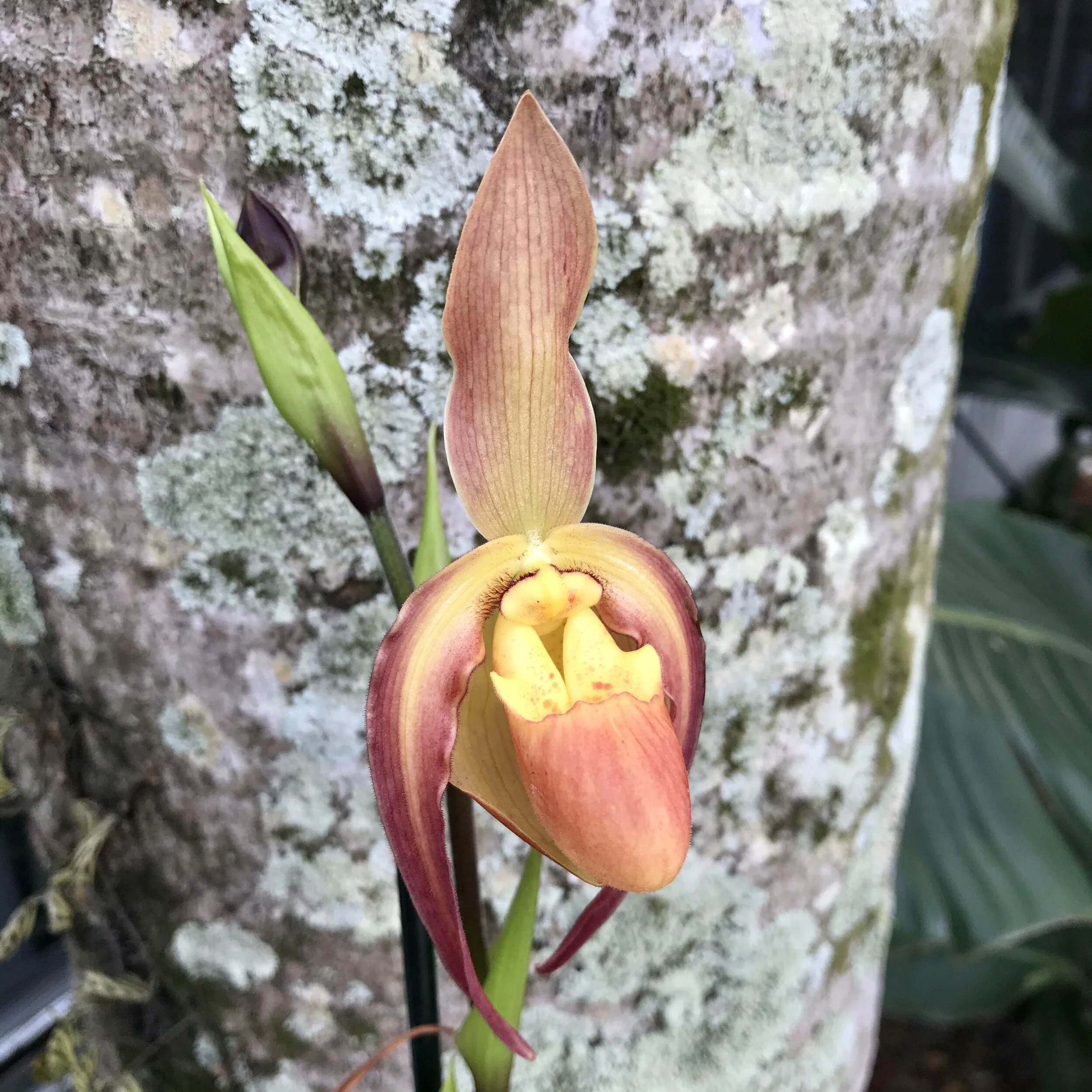 91A62EA5-E86F-4726-B1C9-308CEE8FF4F6