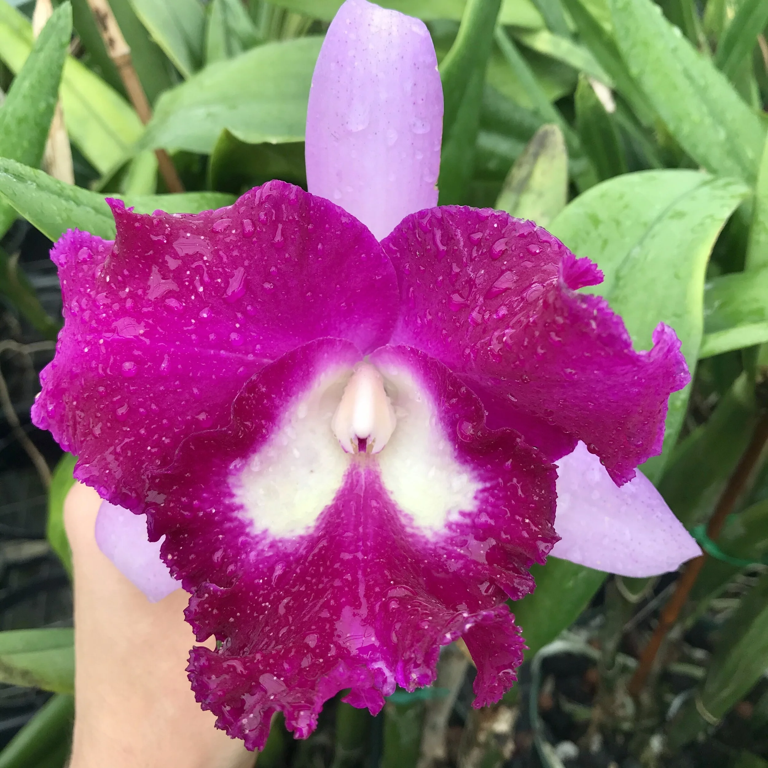 2BA7D04F-2108-4C72-A2DE-19722D8BD16D