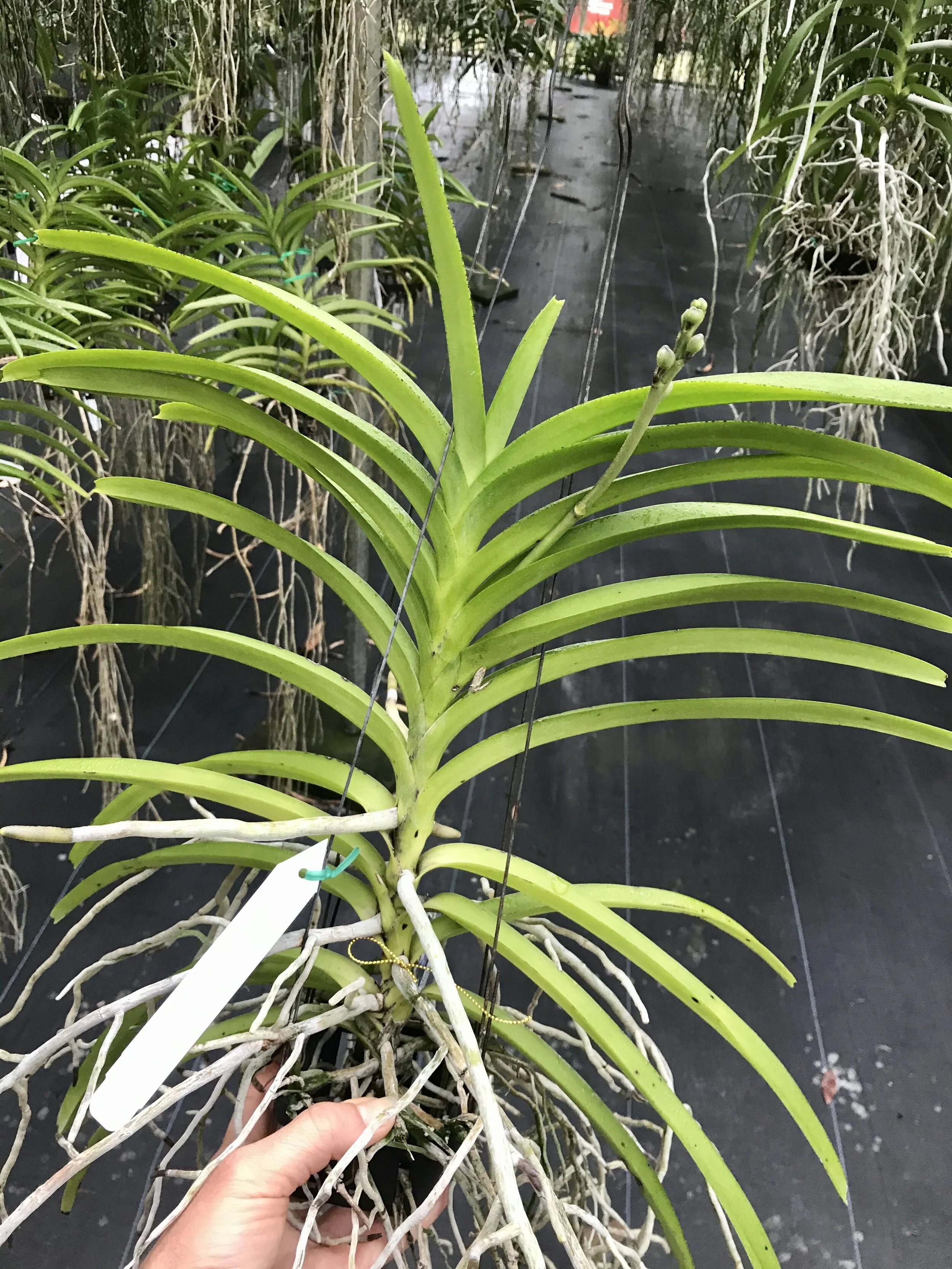 E56342AE-8996-4300-9F3A-C6F67AB19168