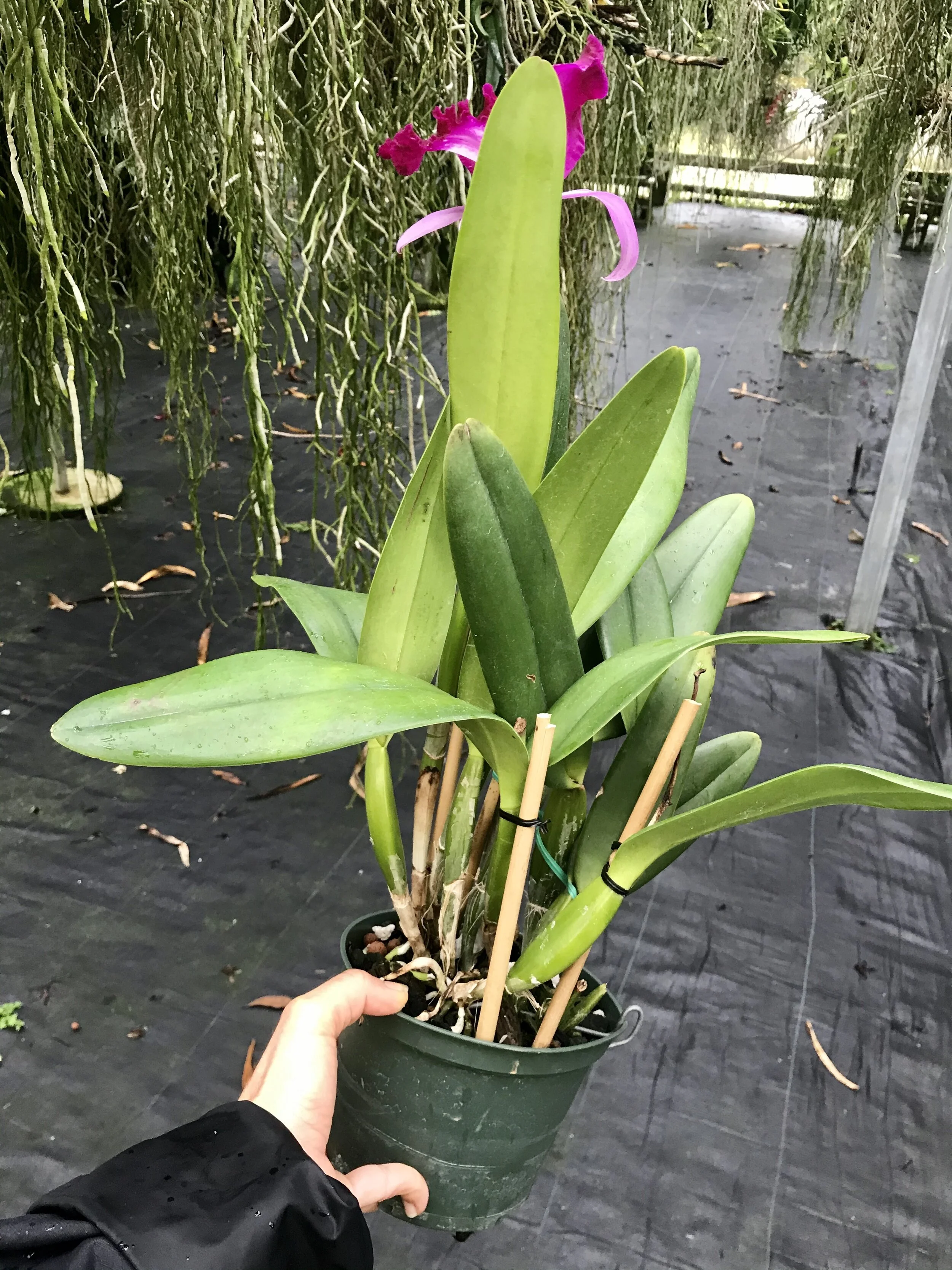 7BE16026-7BF4-4FBC-B448-F278C4E42C28