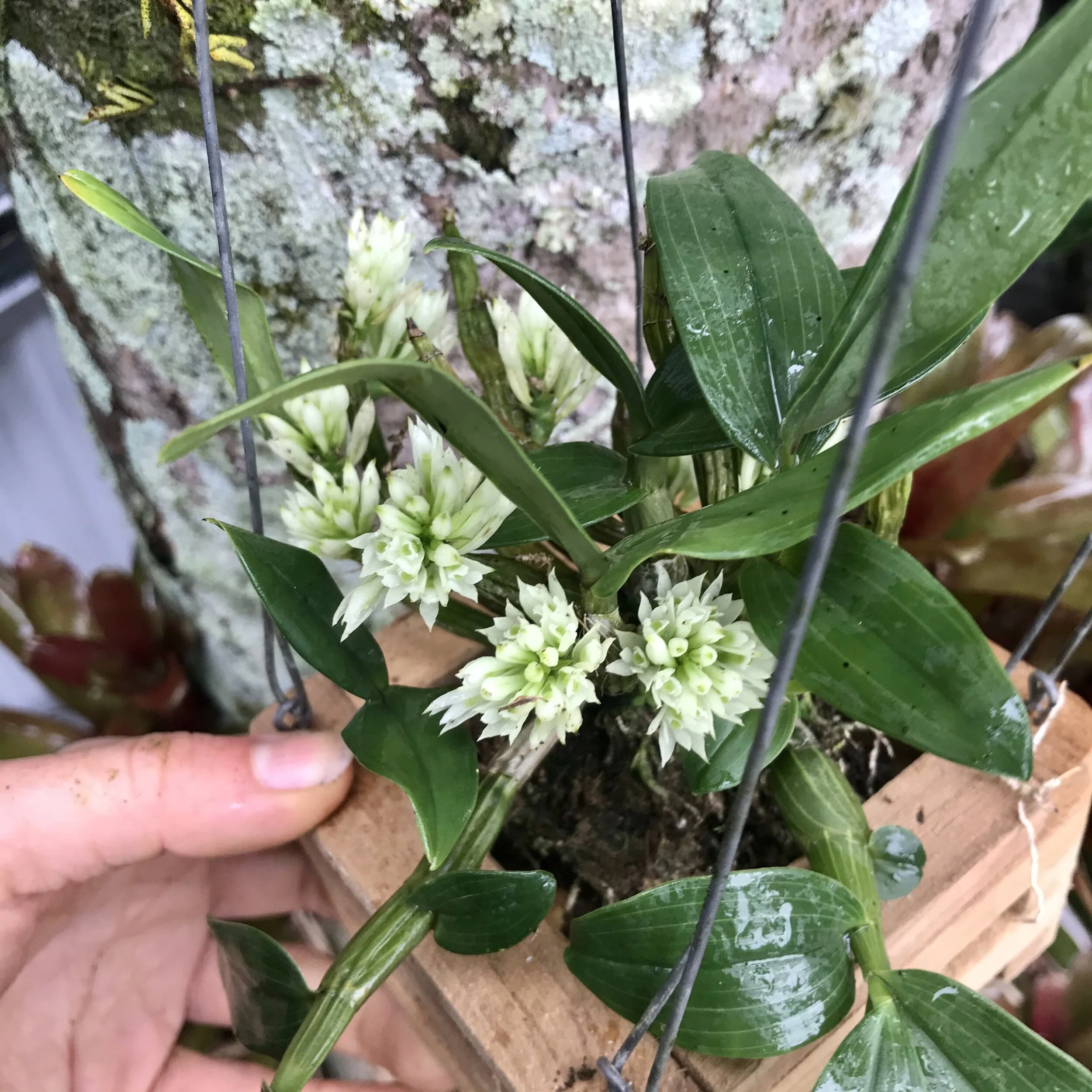 8AF38A1F-A433-4296-872A-B912DBECBABE