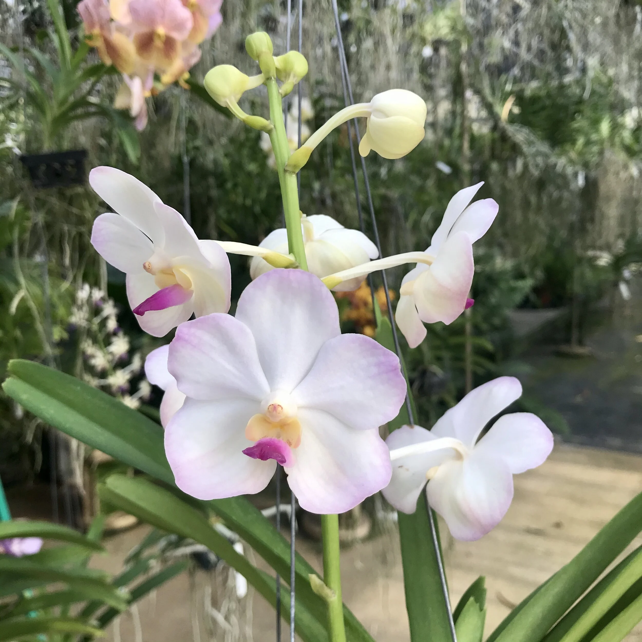 F3756123-B3E3-43EE-B8A8-61DBF2135CCF