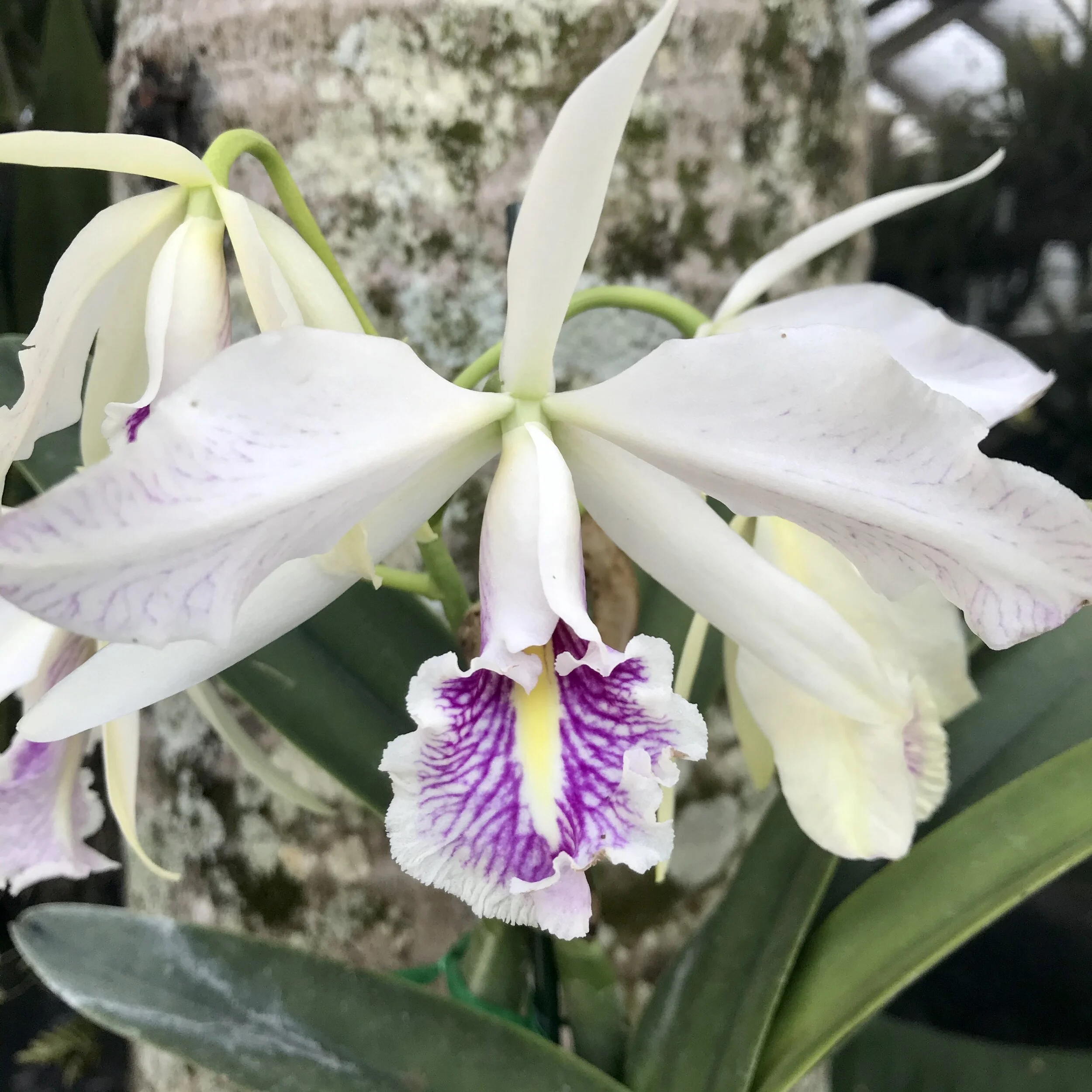 17802F37-A31D-4F61-AEAA-8EFF30D578D7