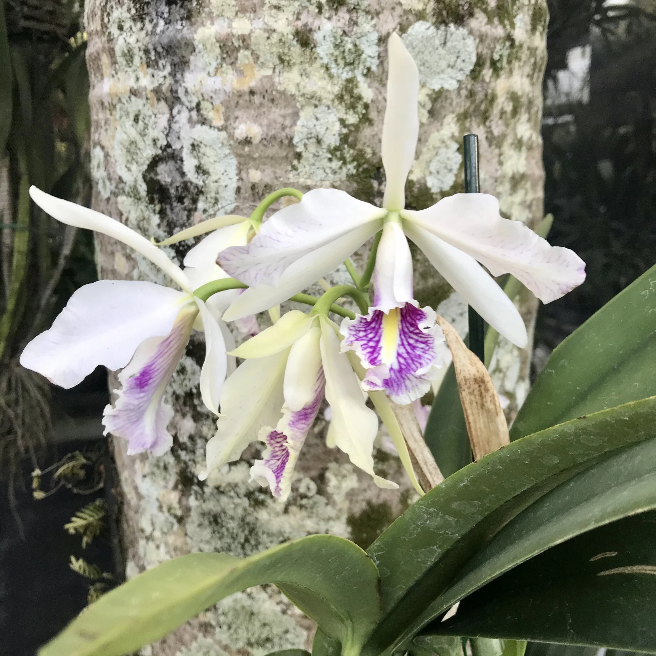 8B989B88-854A-4026-A1BE-09571FDD263E