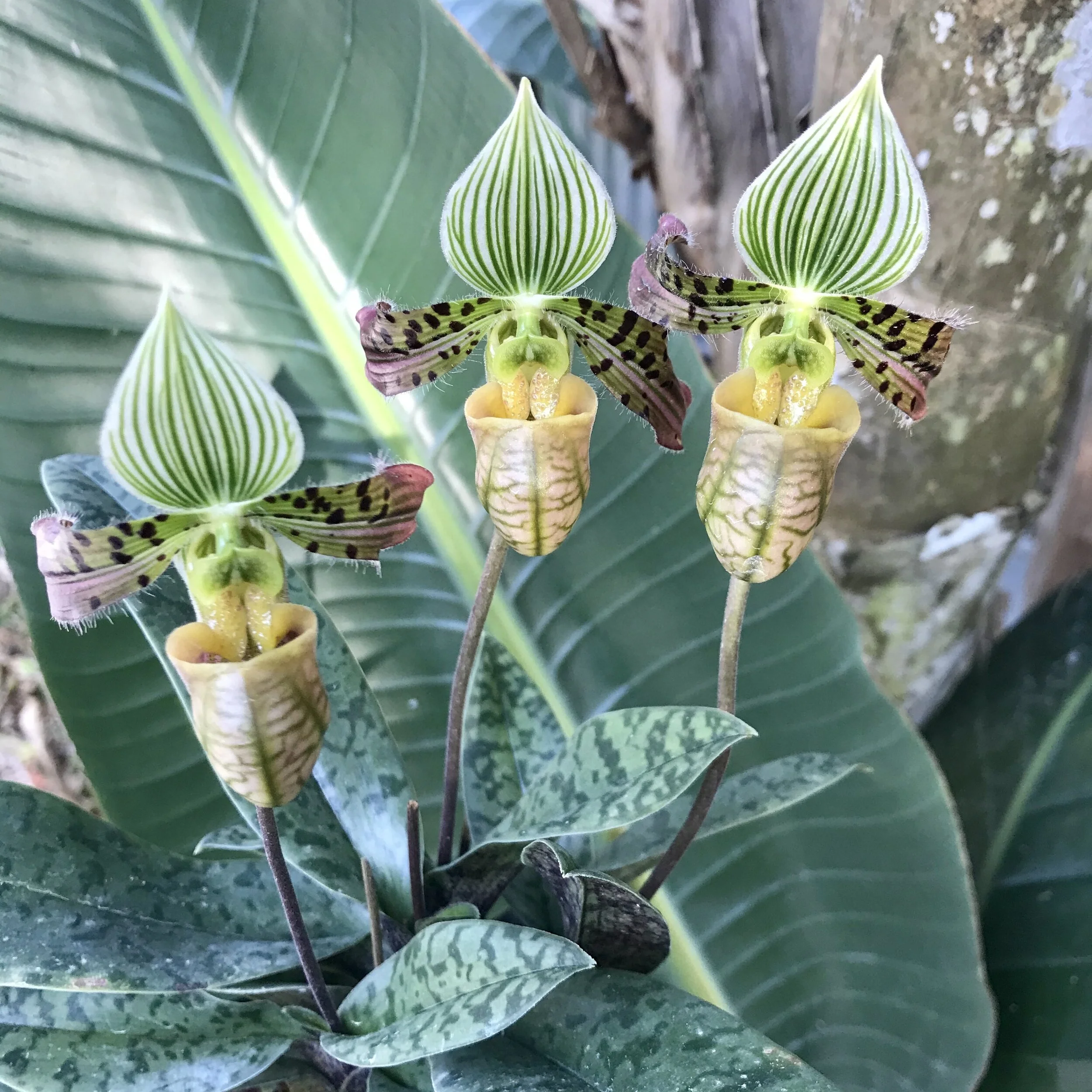 1A59199E-7943-4F16-9F87-B4BF595B4106