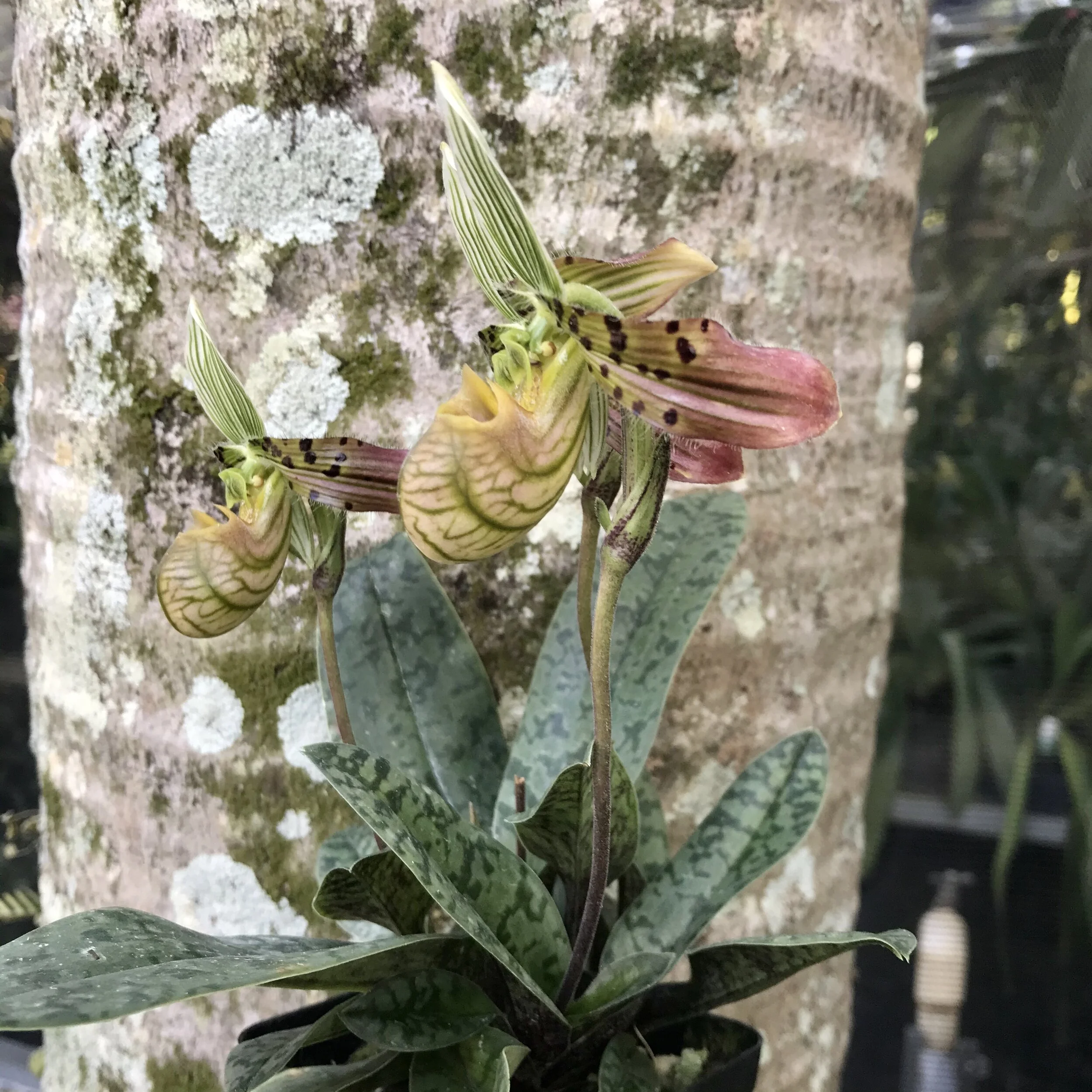 6646FD0B-8B06-4DB2-B128-8DDD3D4DE9AB