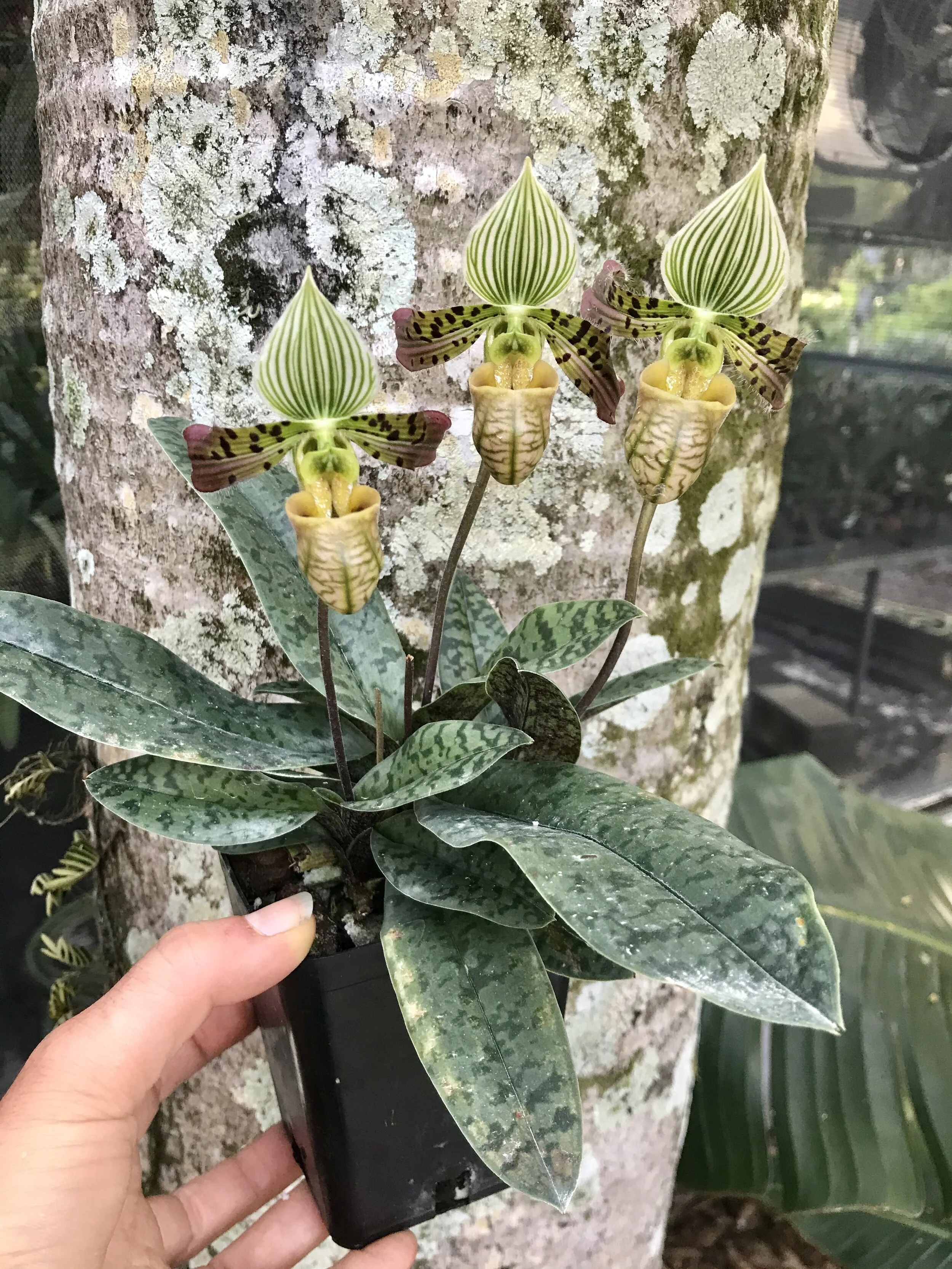 B2C9A7D9-C995-4090-BC88-BECCB9AFC866