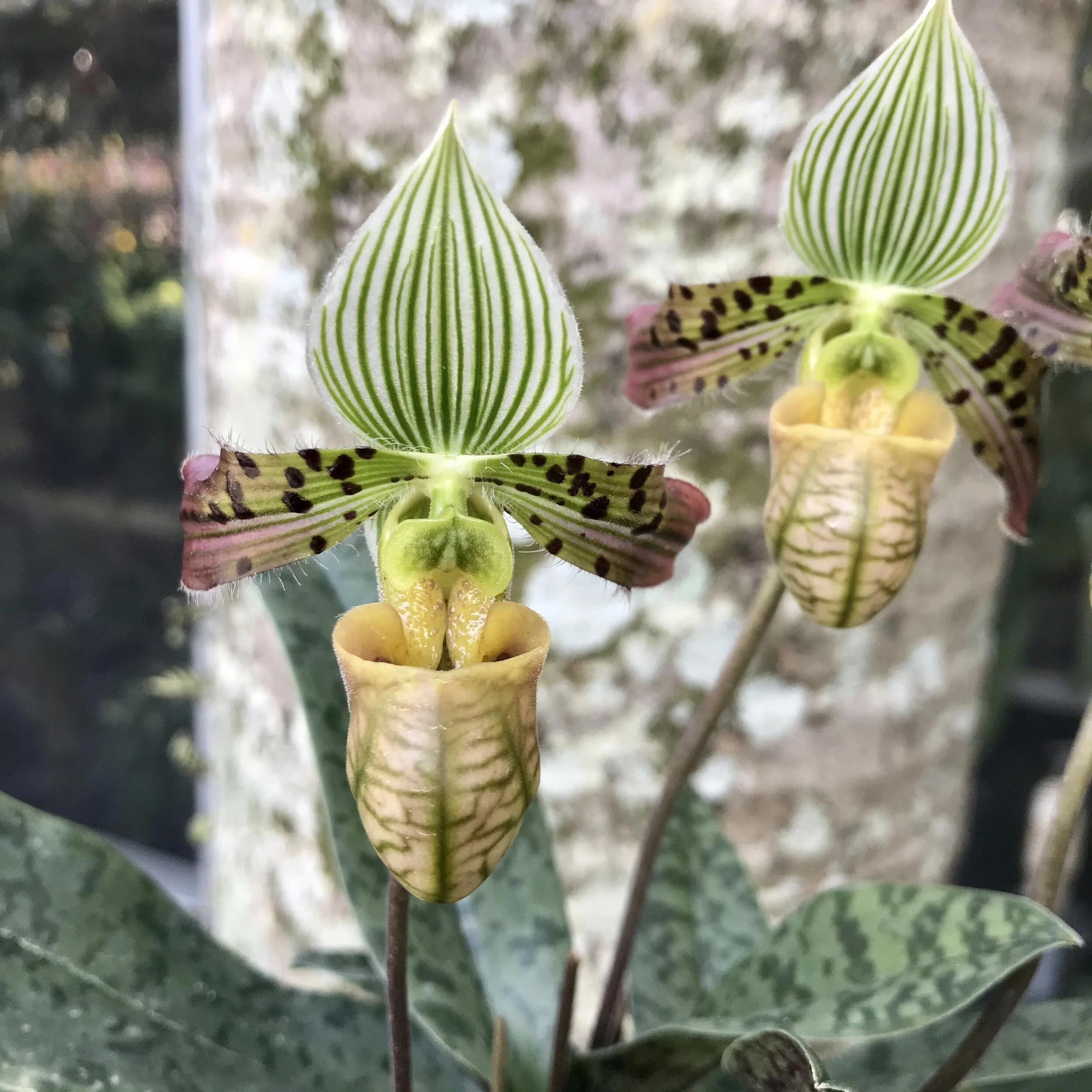 CD64E766-3A4B-4A17-BA29-EB658AD4F0D3