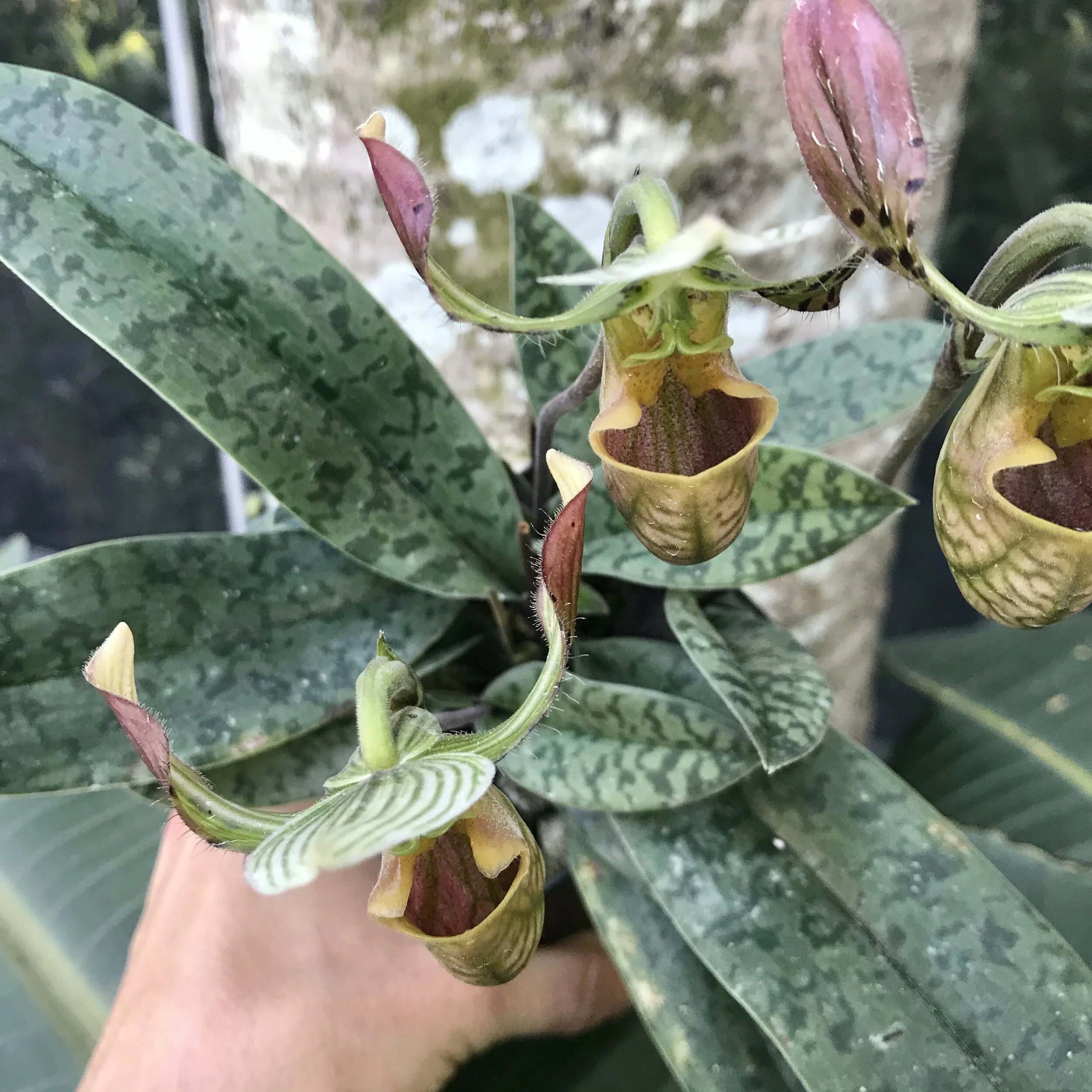 CAA38388-FAE7-4BBE-A624-F15FE37136C8